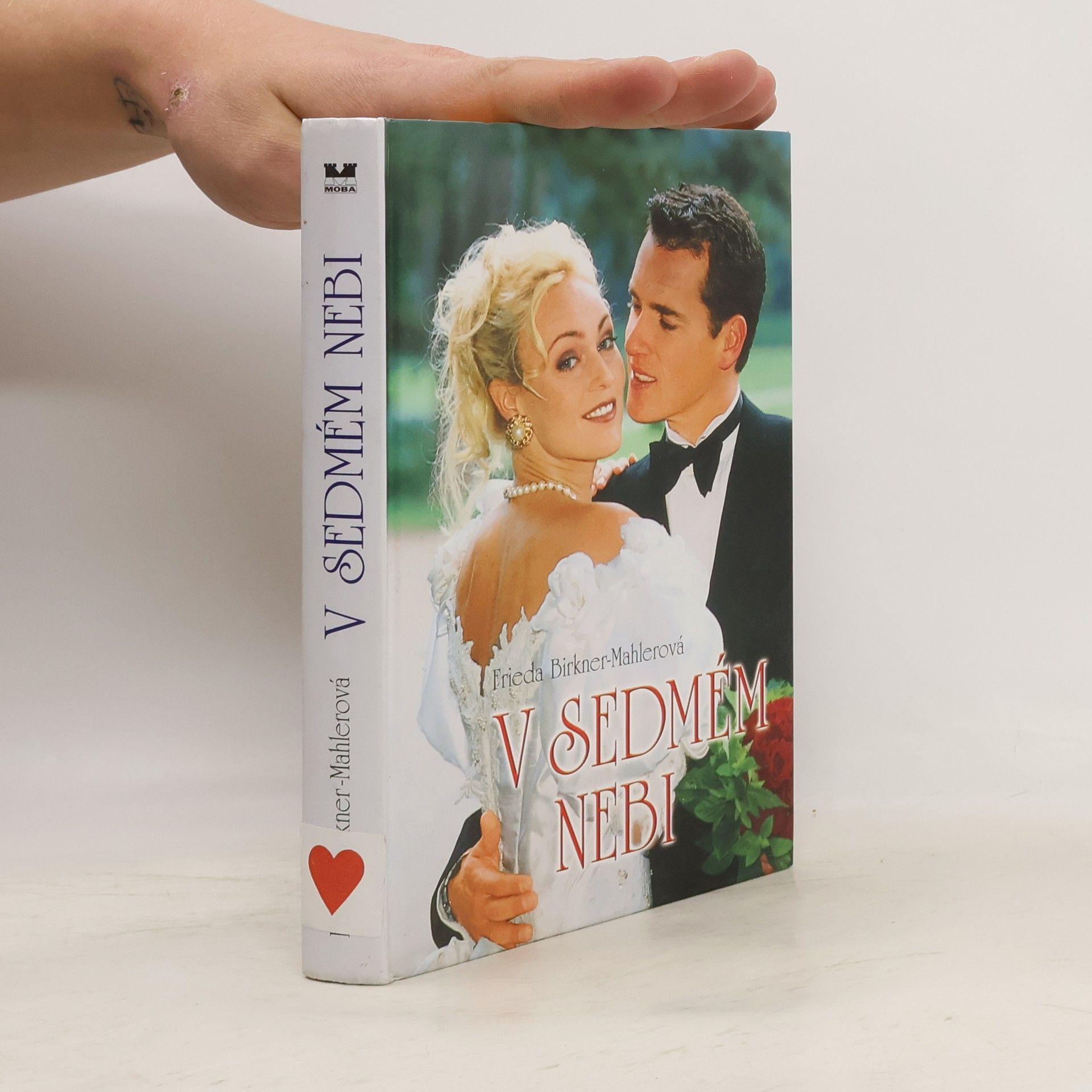 Frieda Birkner-Mahler V sedmém nebi