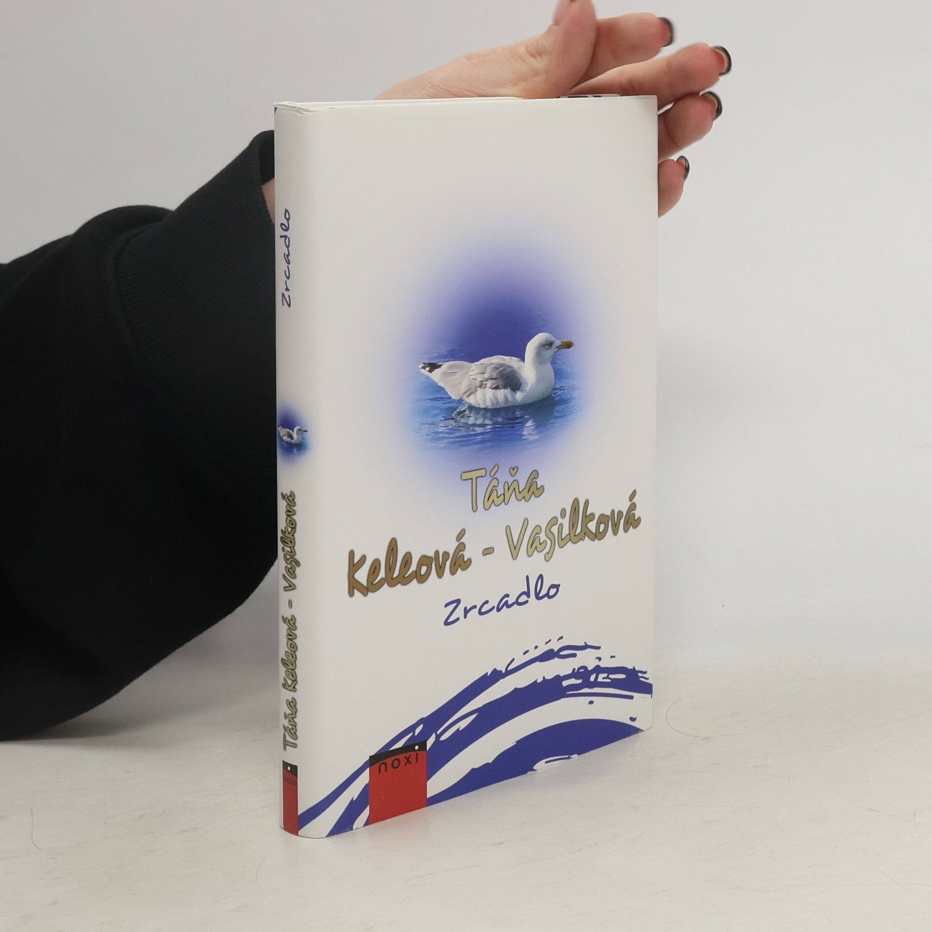Táňa Keleová Vasilková Zrcadlo