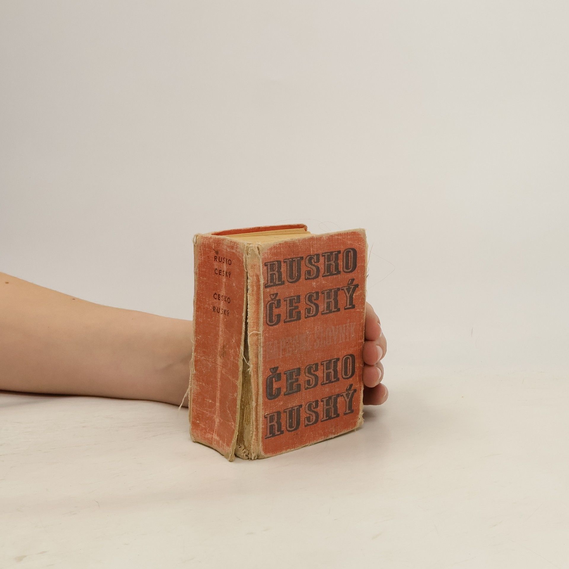 AA.VV. Rusko-český, česko-ruský kapesní slovník