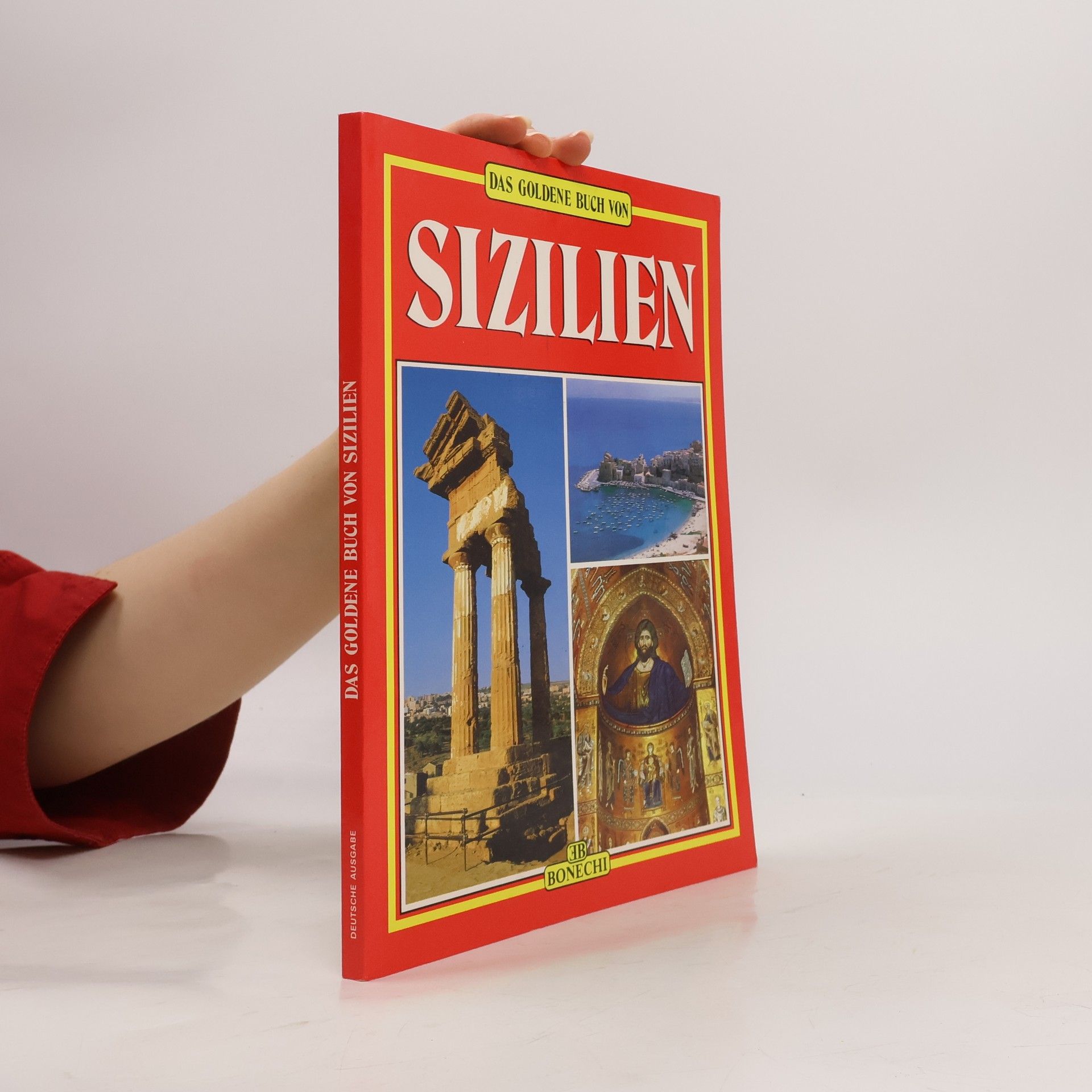 Giuliano Valdes Das goldene Buch von Sizilien