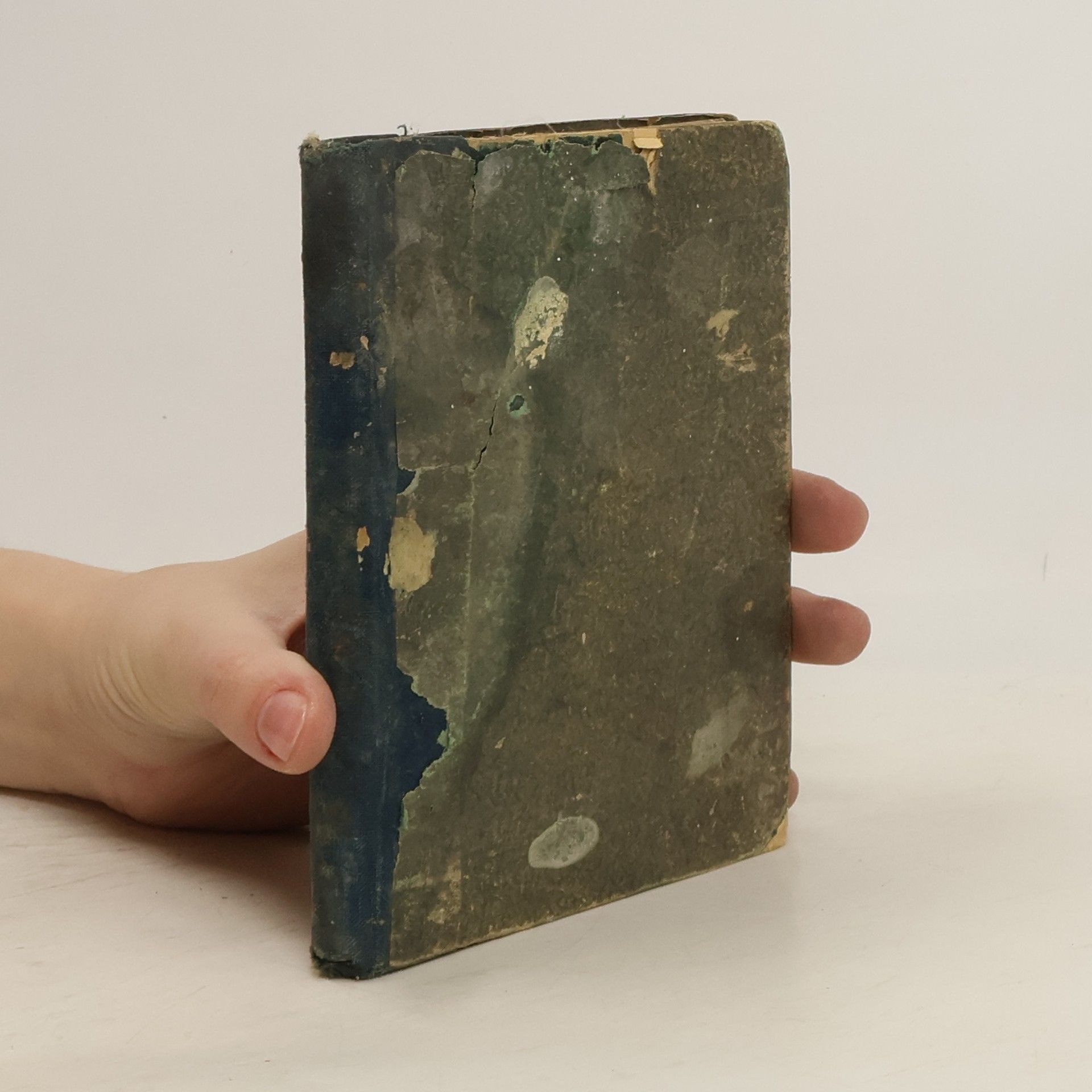 Bohumil Zahradník Brodský Paní pokladníková