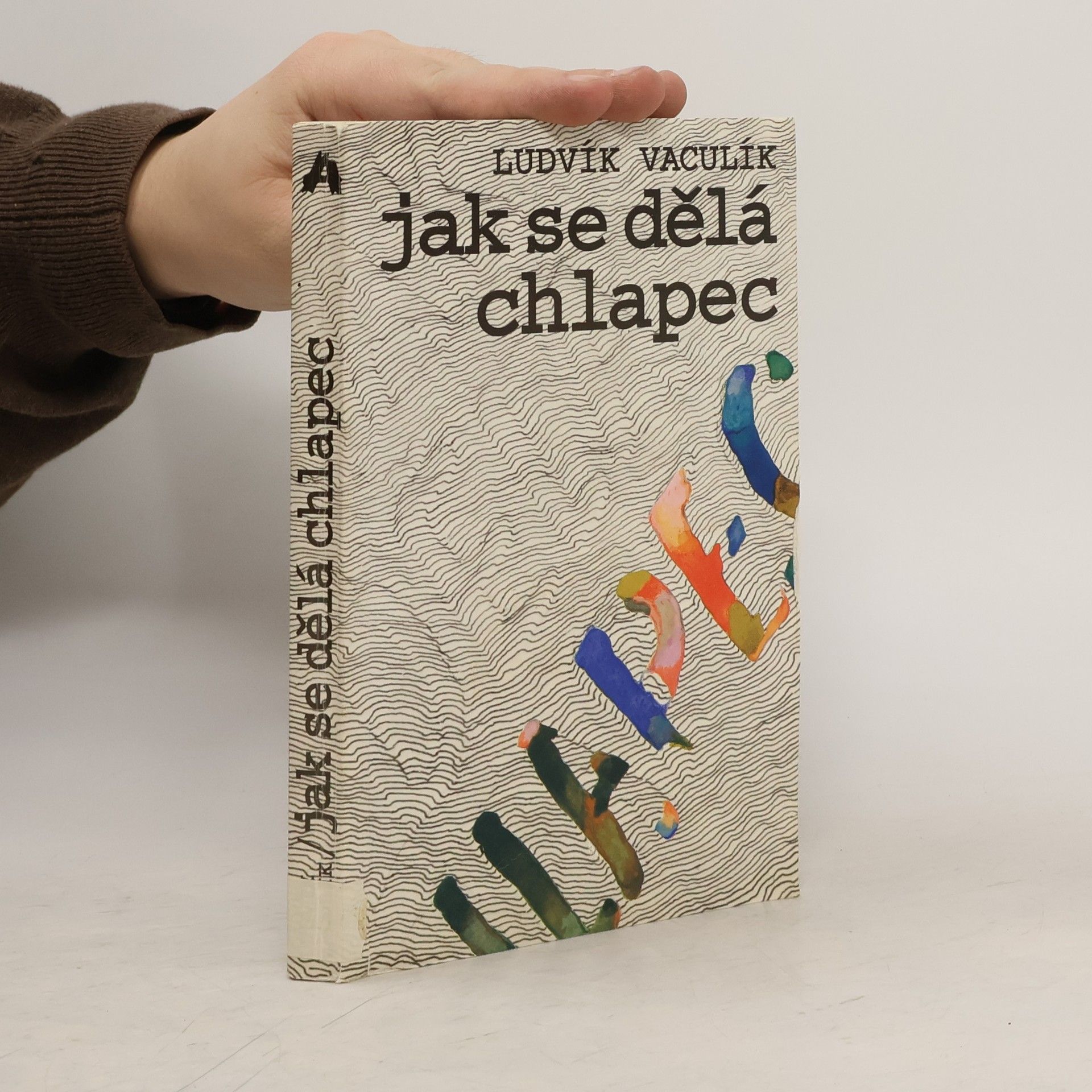 Ludvík Vaculík Jak se dělá chlapec