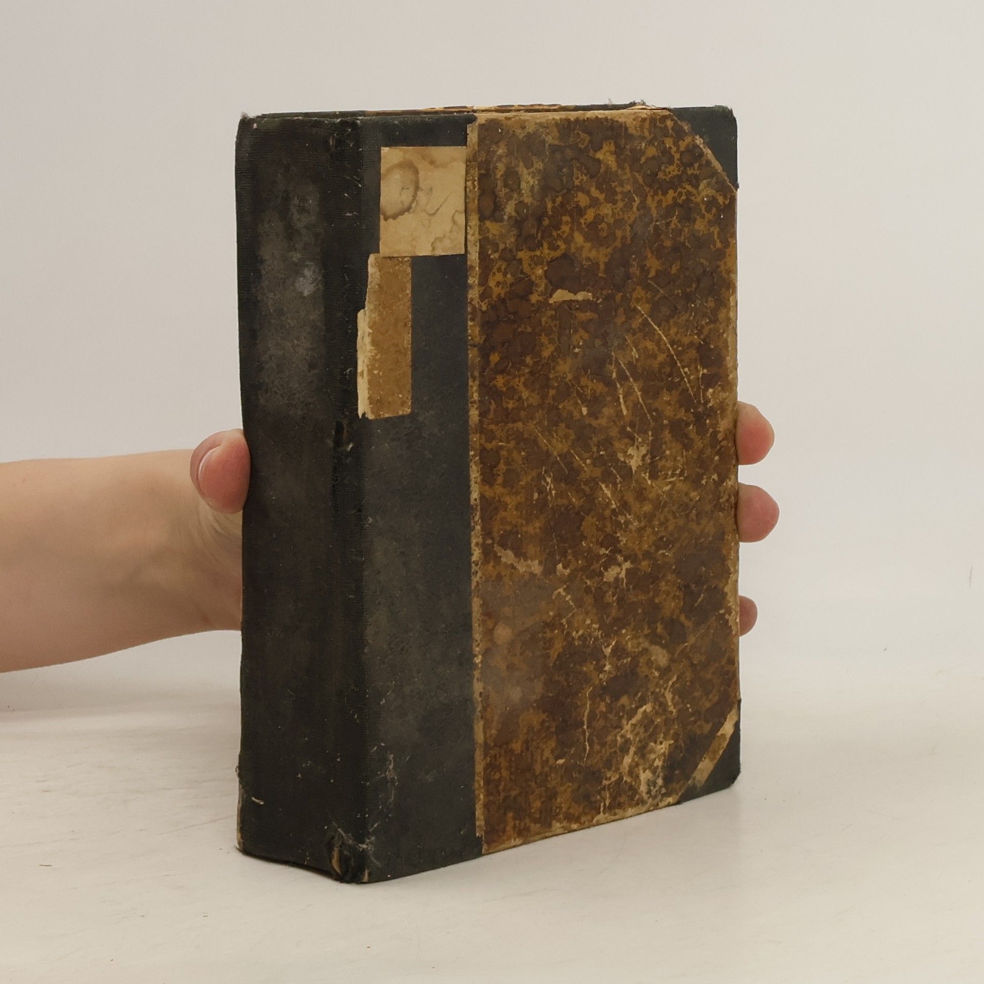 Slavenský J. K. Ze spárů dvouhlavého orla