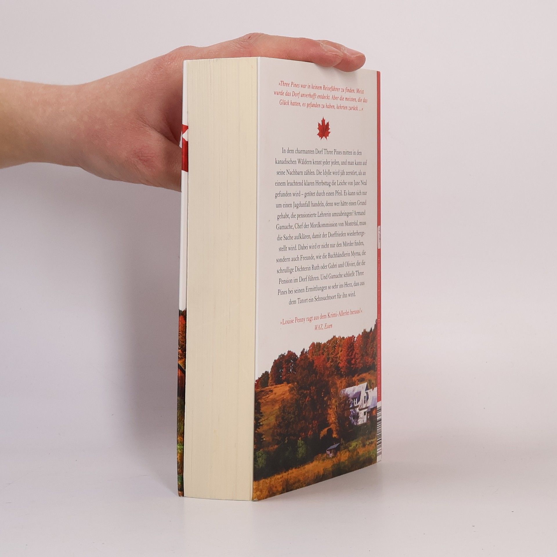 Louise Penny Das Dorf in den roten Wäldern