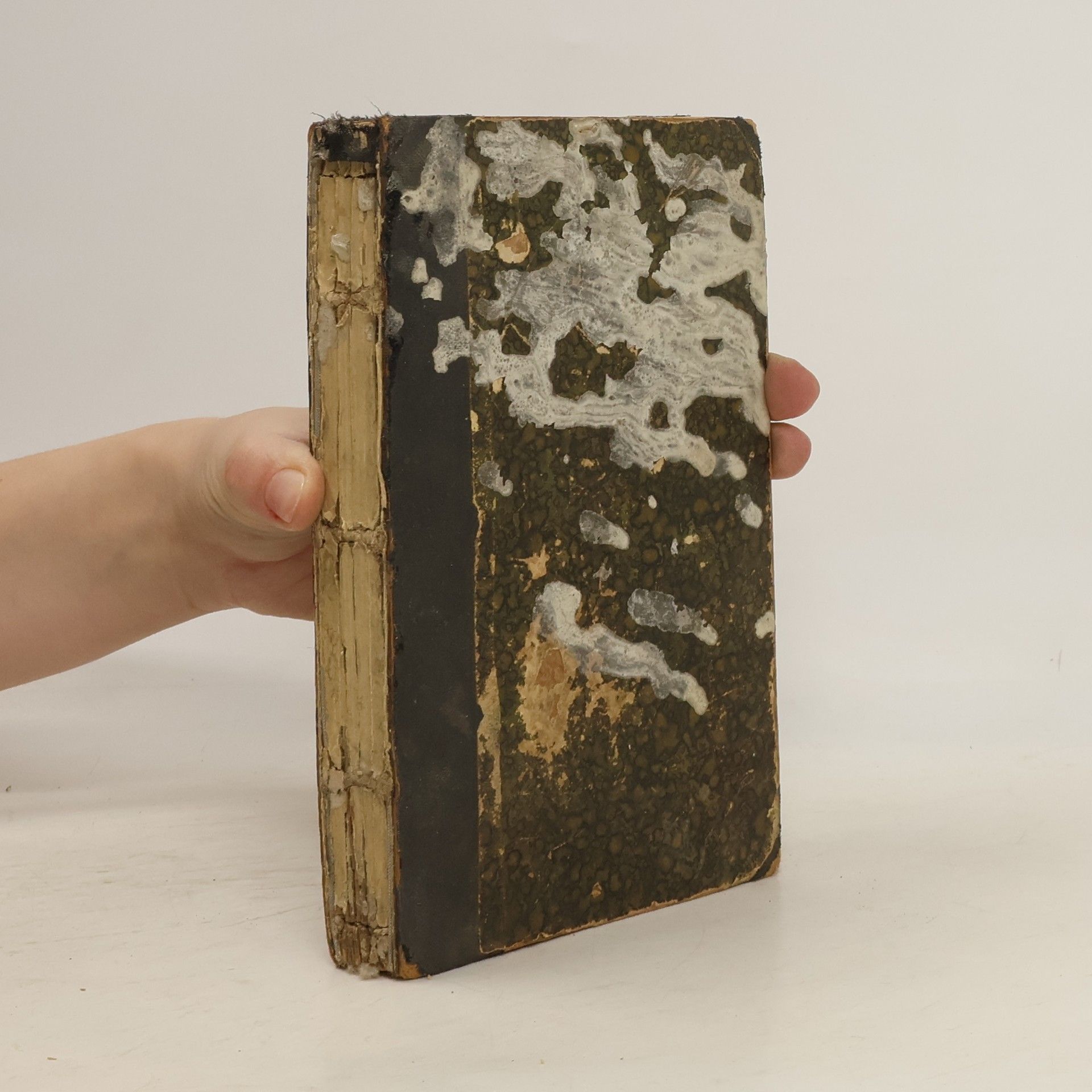 Vlasta Pittnerová Osiřelo dítě a jine povídky