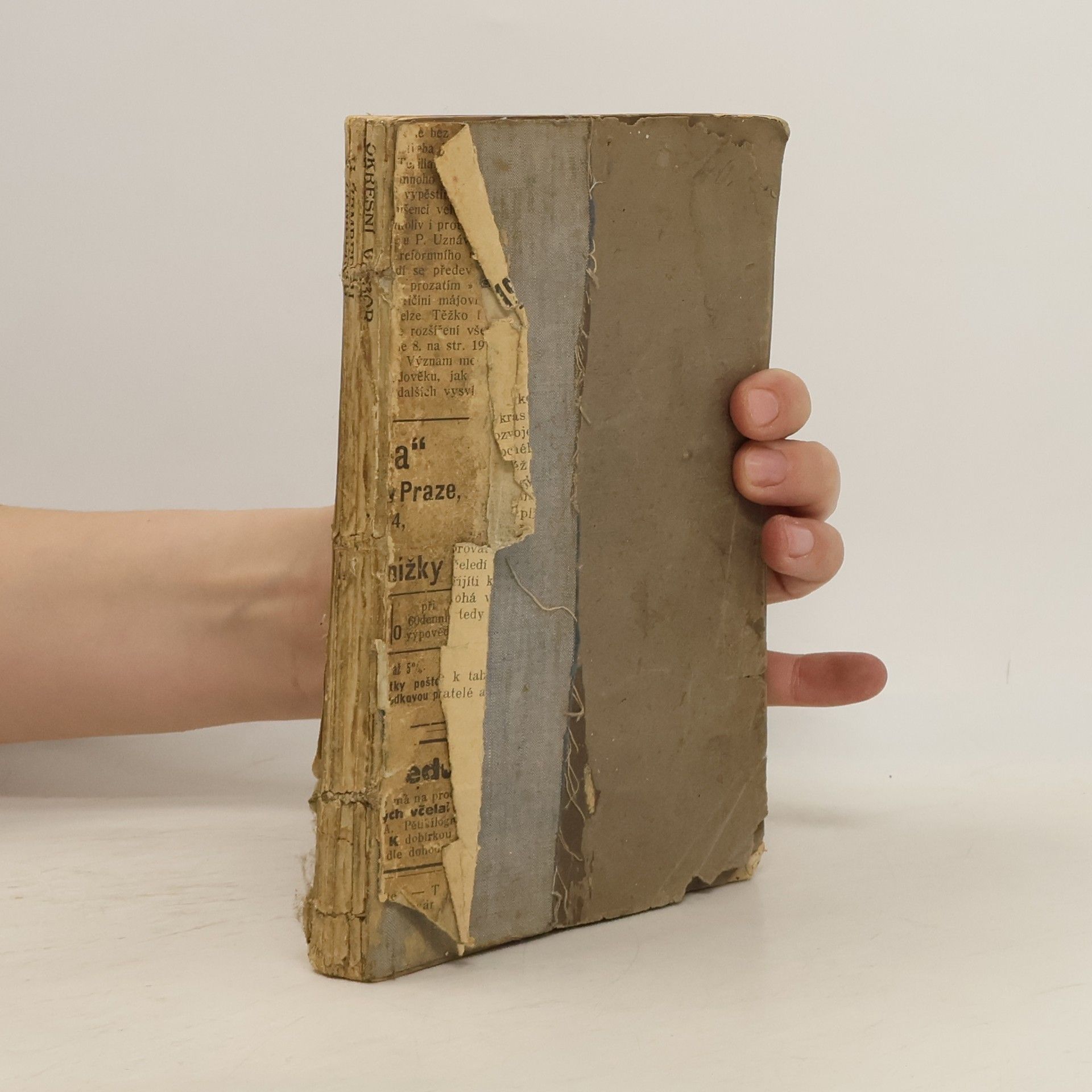 Kolektiv autorů Pokrokové včelařství slovem i obrazem