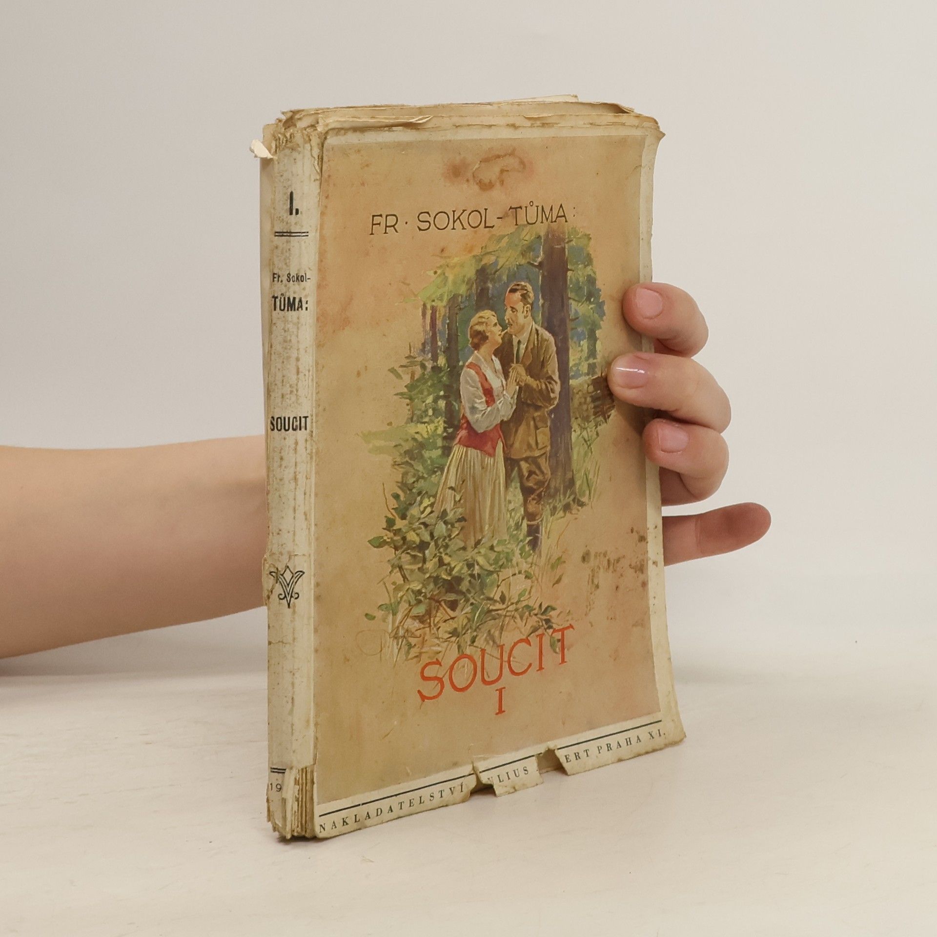 František Sokol Tůma Soucit I.