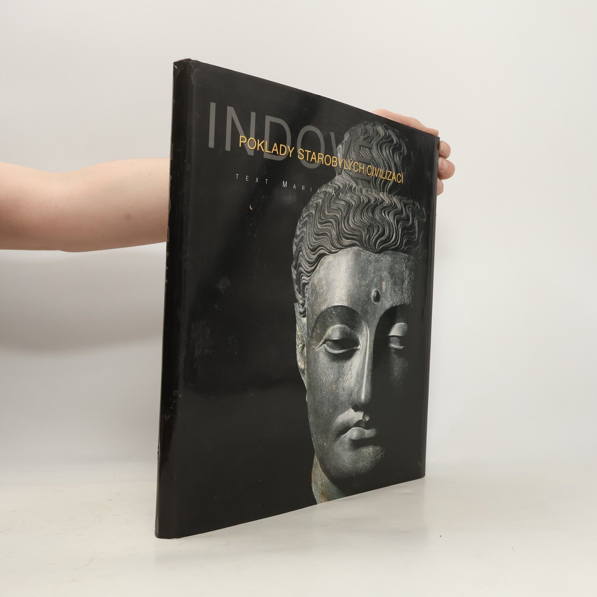 Maria Angelillo Indové. Poklady starobylých civilizací