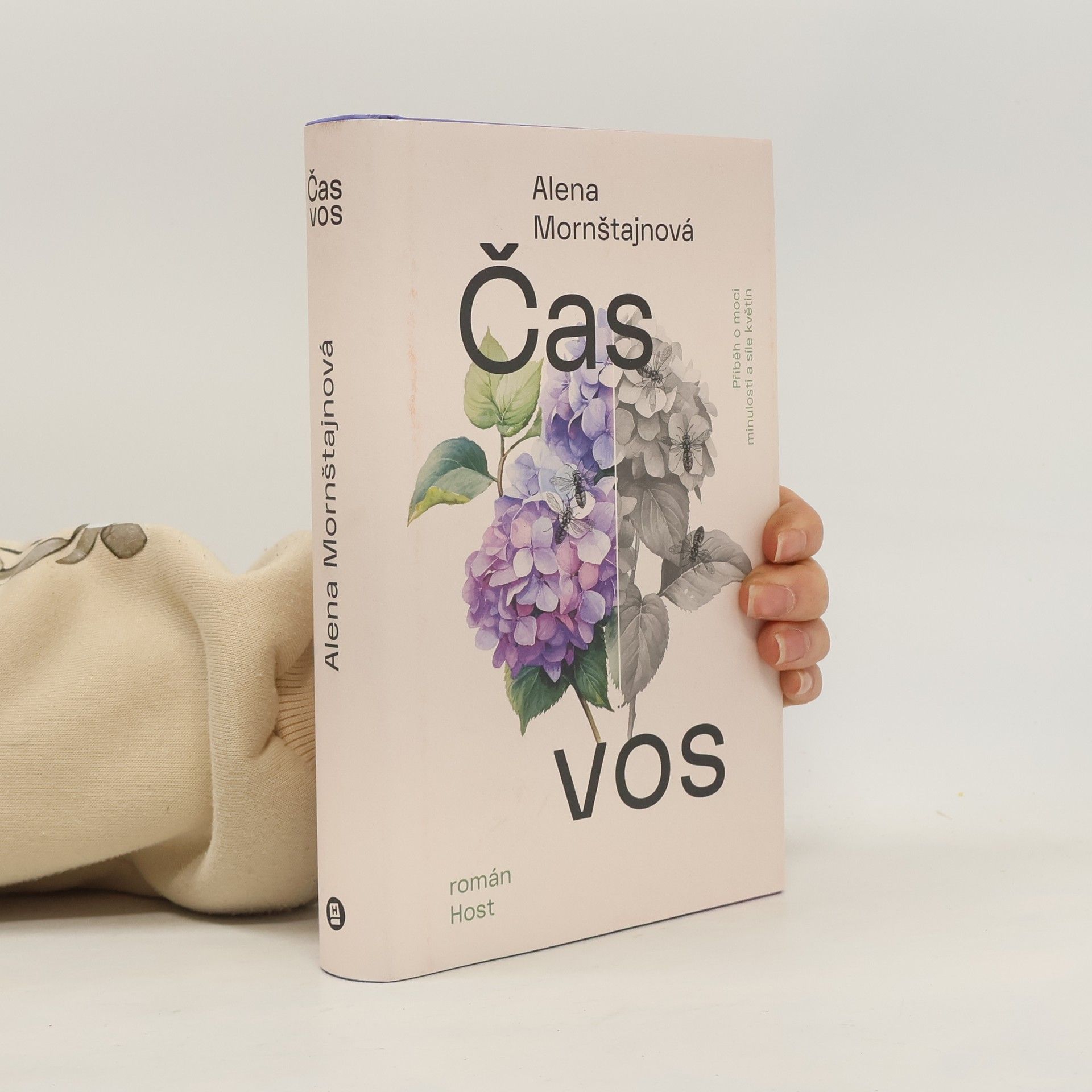 Alena Mornštajnová Čas vos