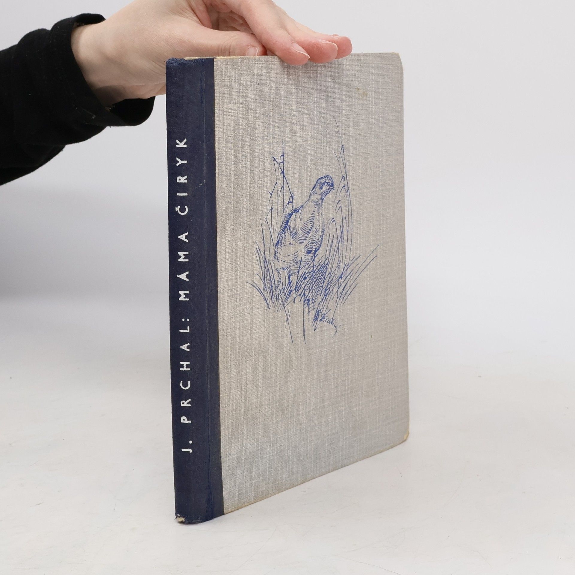 Josef Prchal Máma čiryk