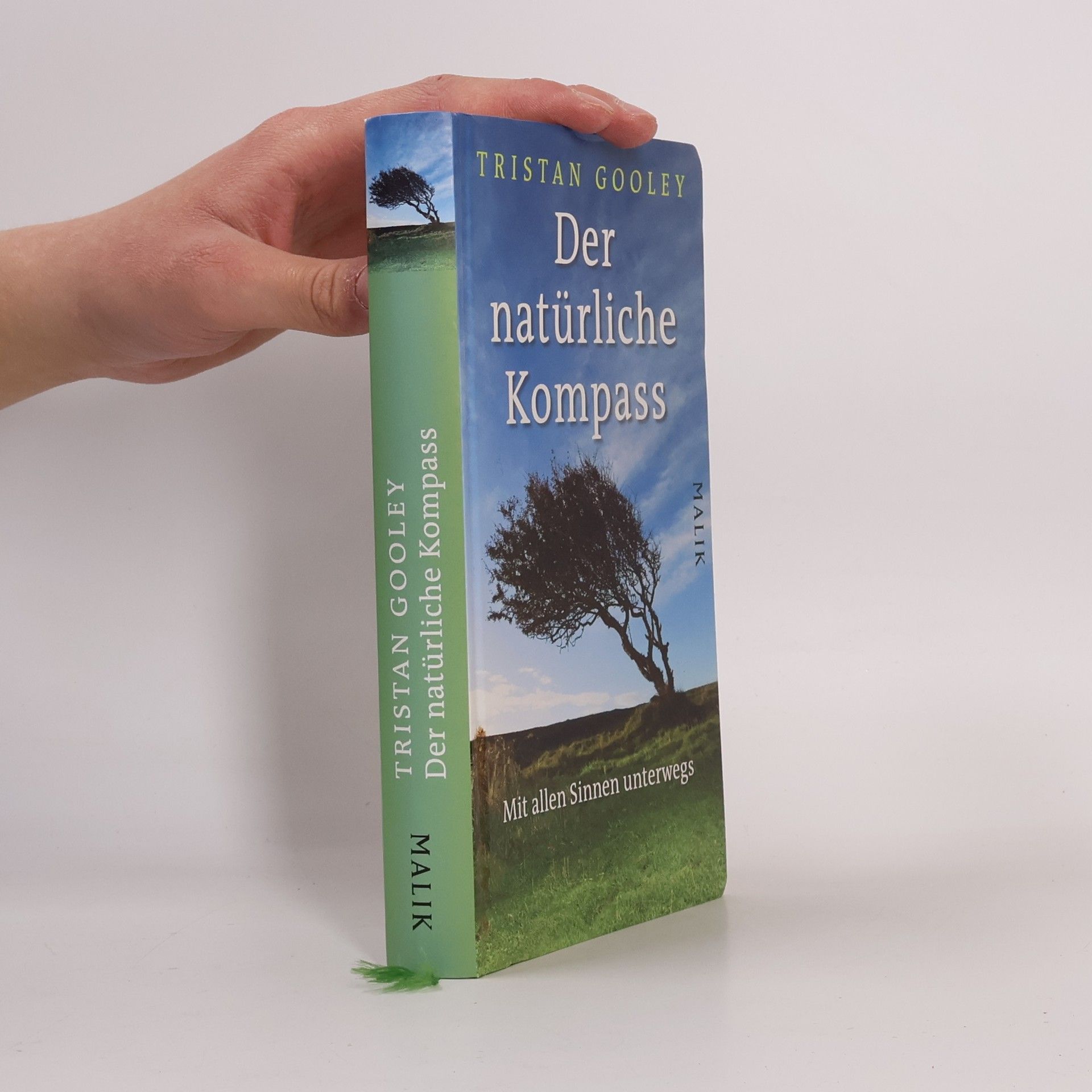 Tristan Gooley Der natürliche Kompass