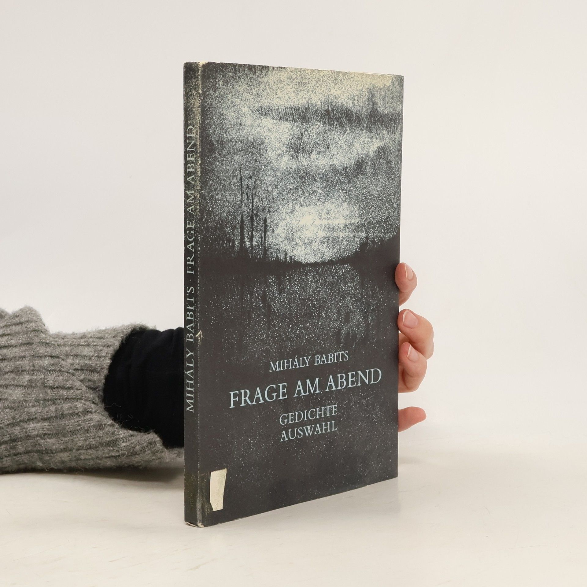 Mihály Babits Frage am Abend
