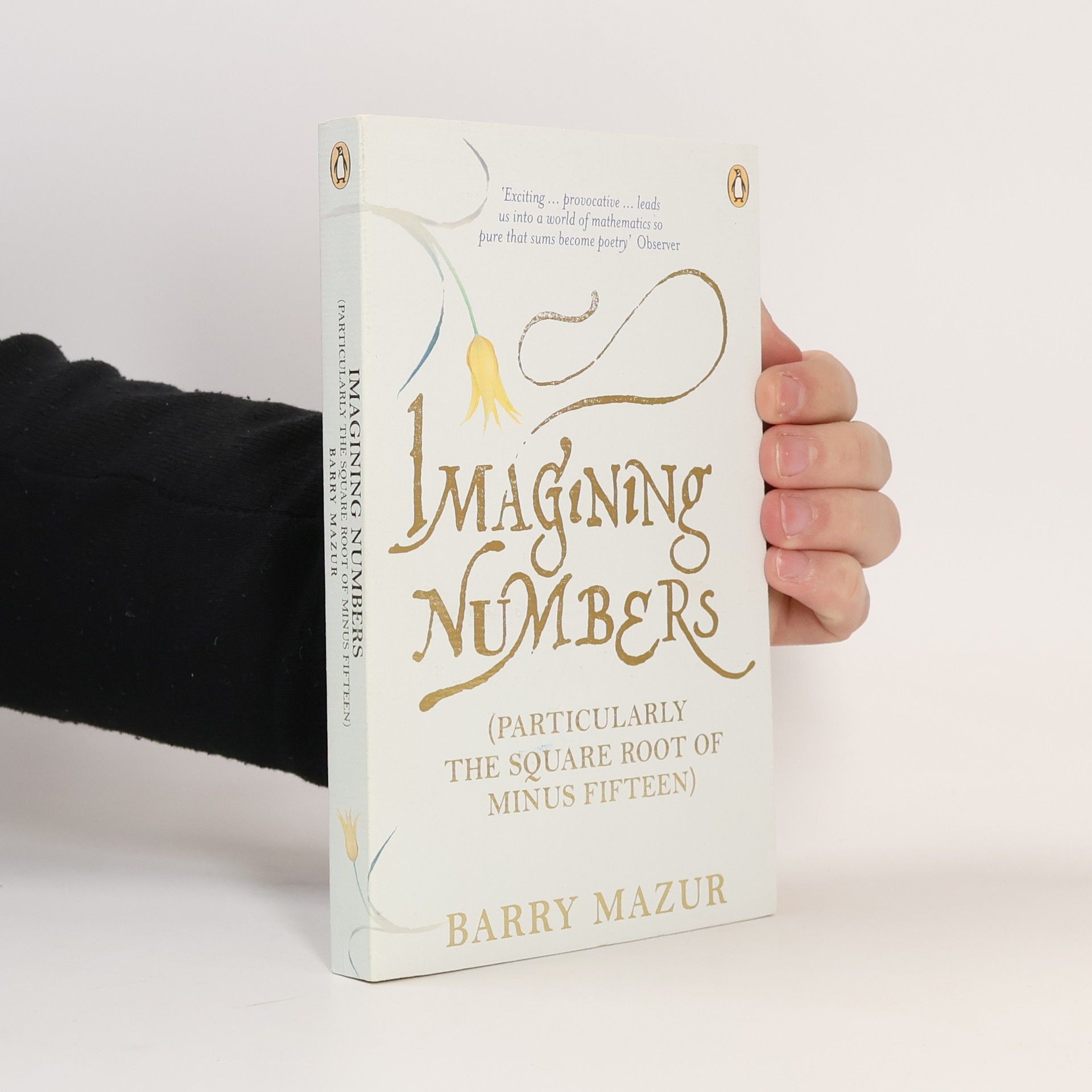 Barry Mazur Imagining Numbers