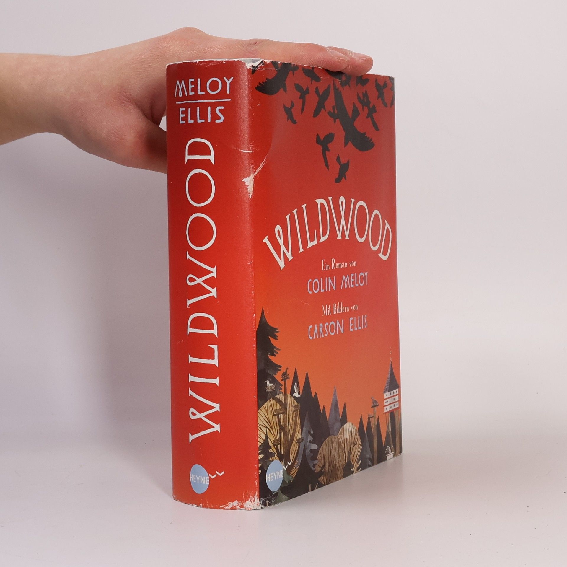 Colin Meloy Wildwood