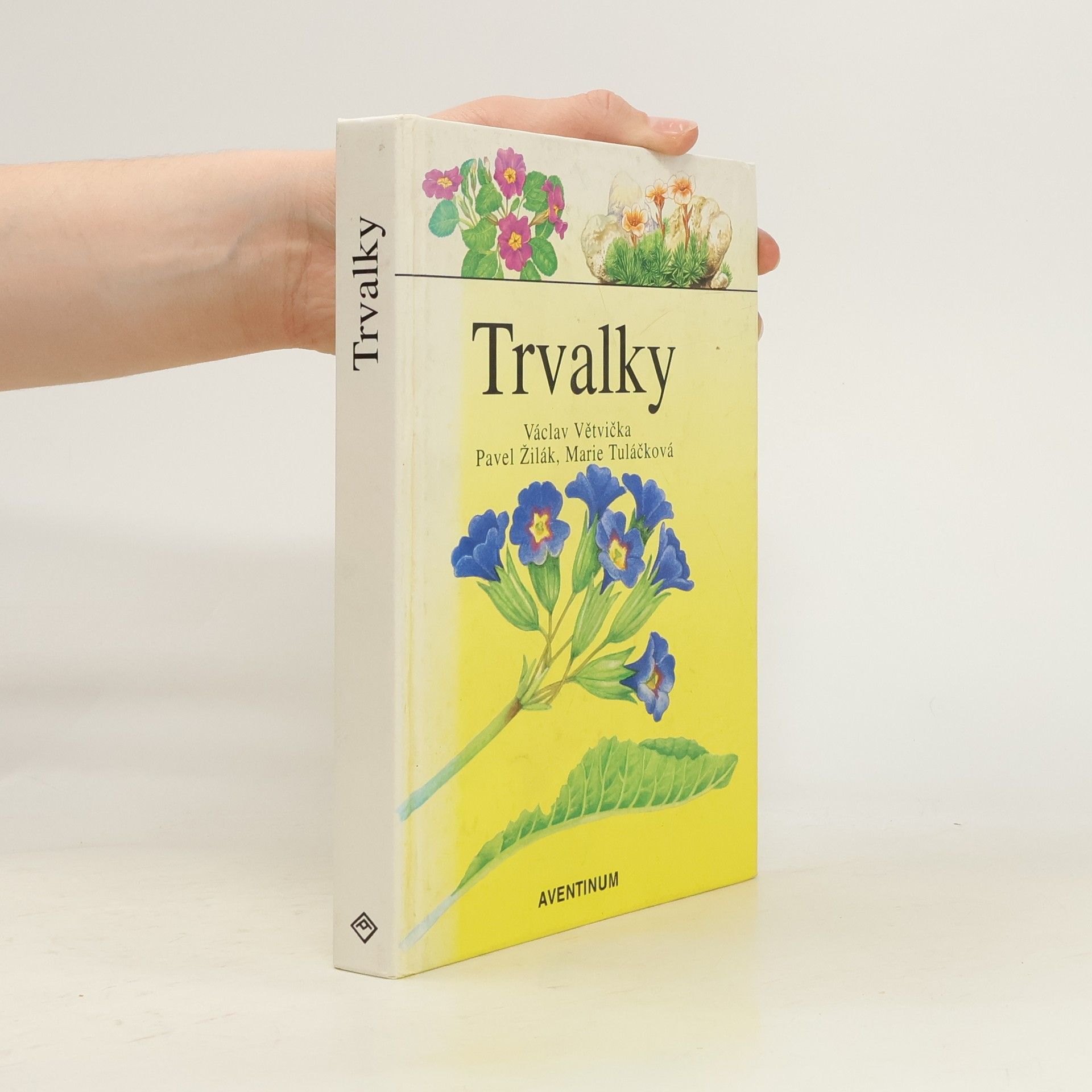 Trvalky