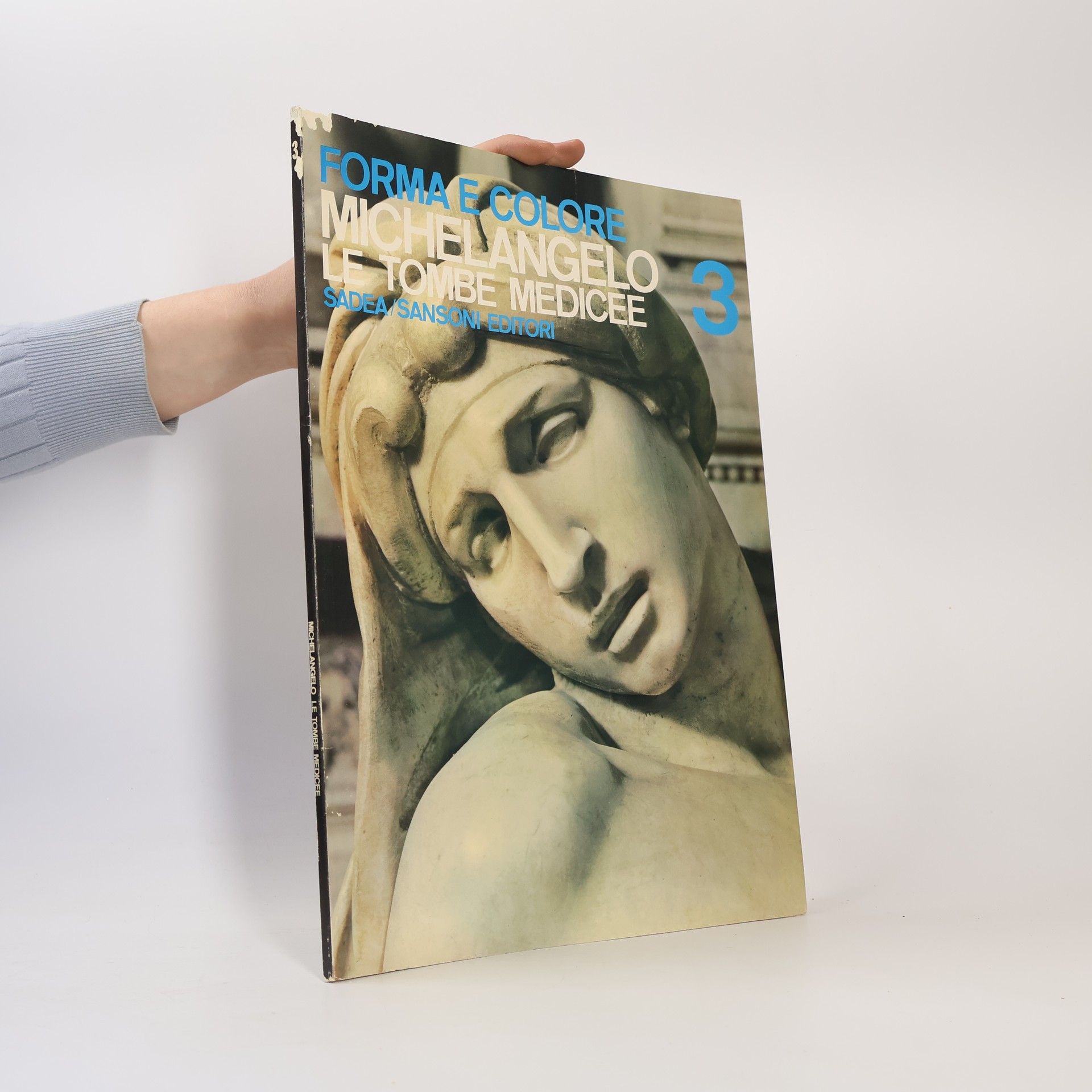 Autores varios Forma e colore 3. Michelangelo. Le tombe medicee