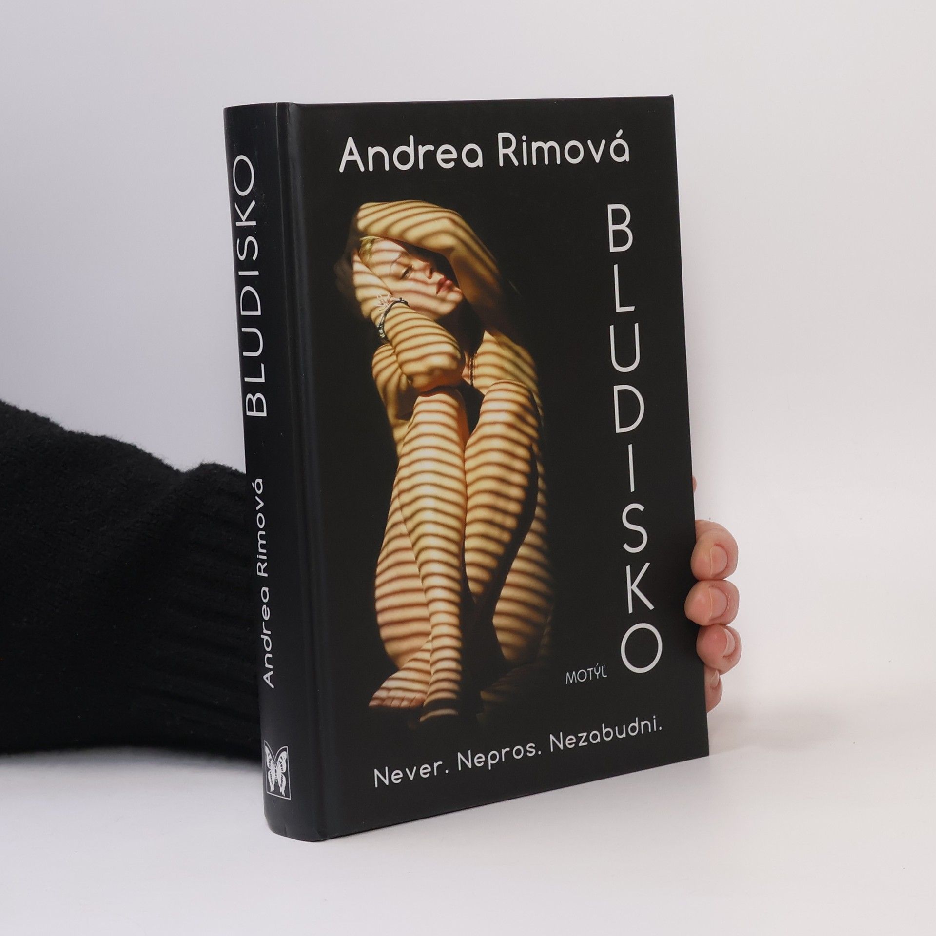 Andrea Rimová Bludisko