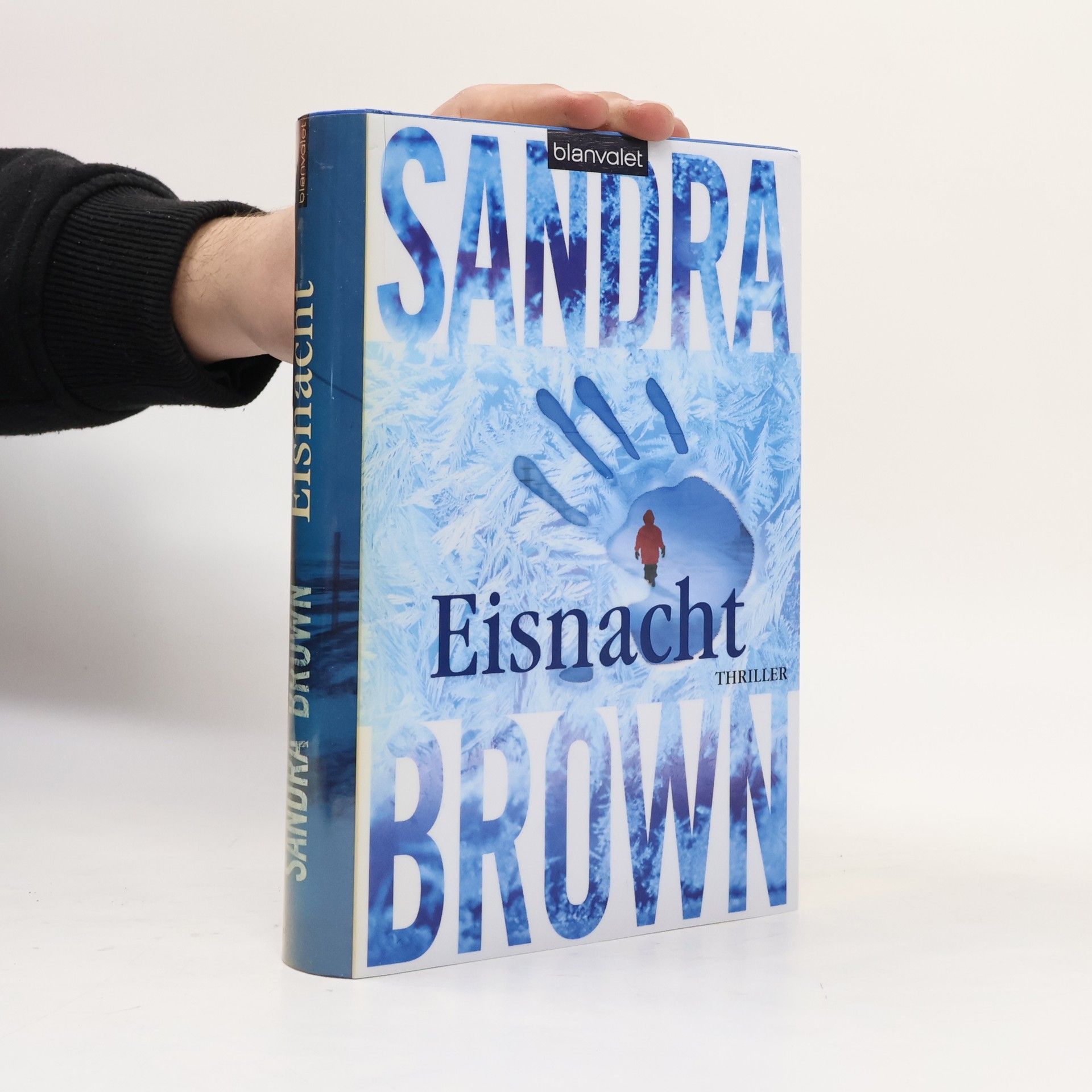 Sandra Brown Eisnacht