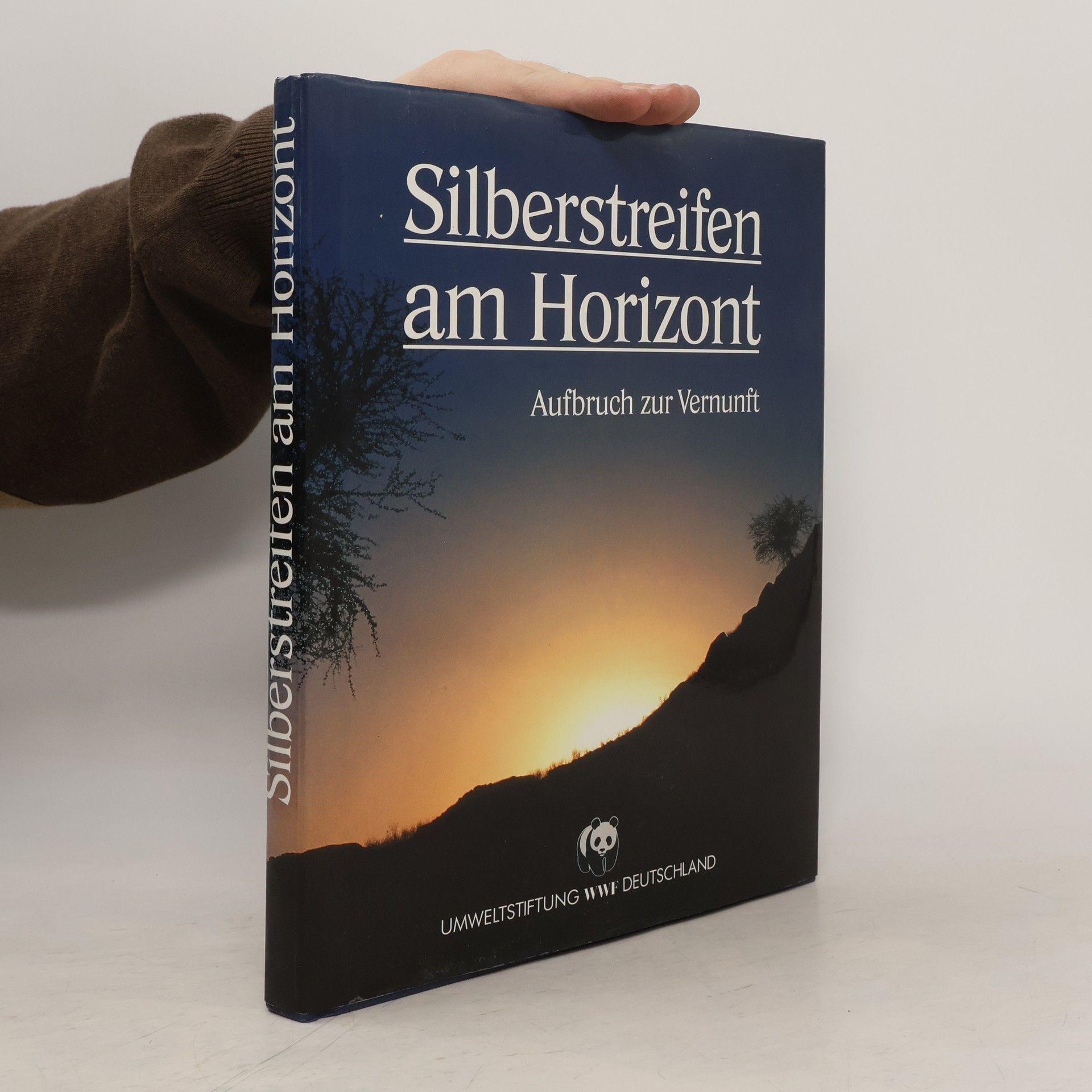 Kolektív autorov Silberstreifen am Horizont