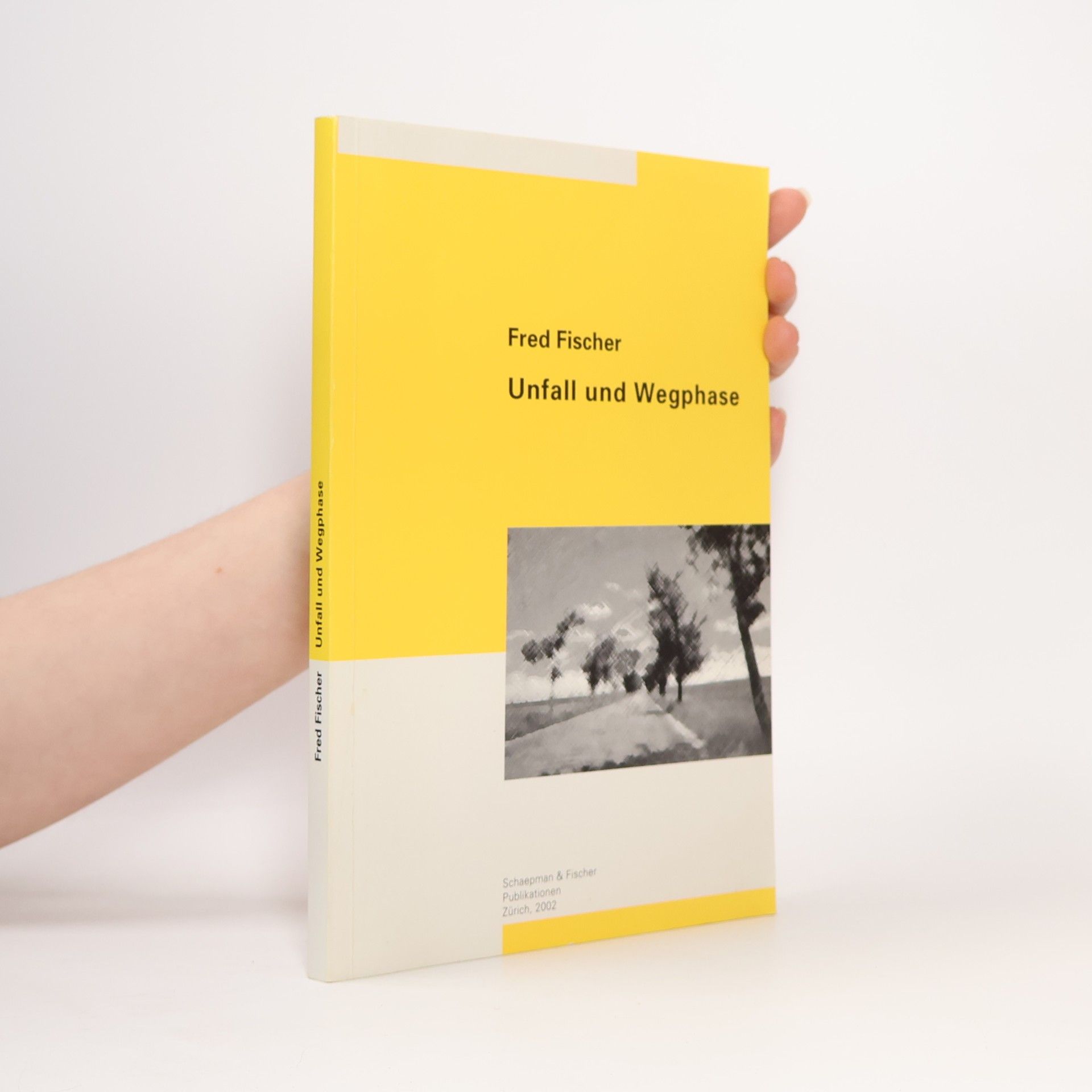 Fred Fischer Unfall und Wegphase