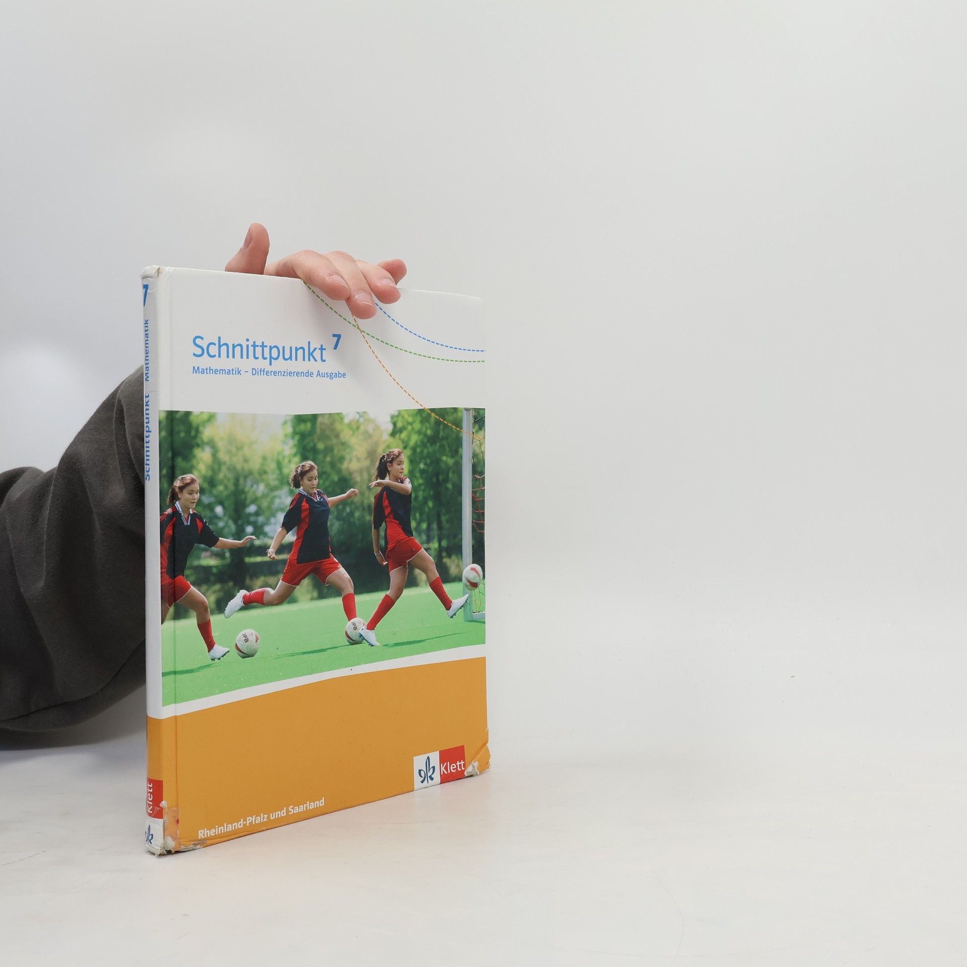 Emilie Scholl Molter Schnittpunkt 7: Mathematik - Differenzierende Ausgabe