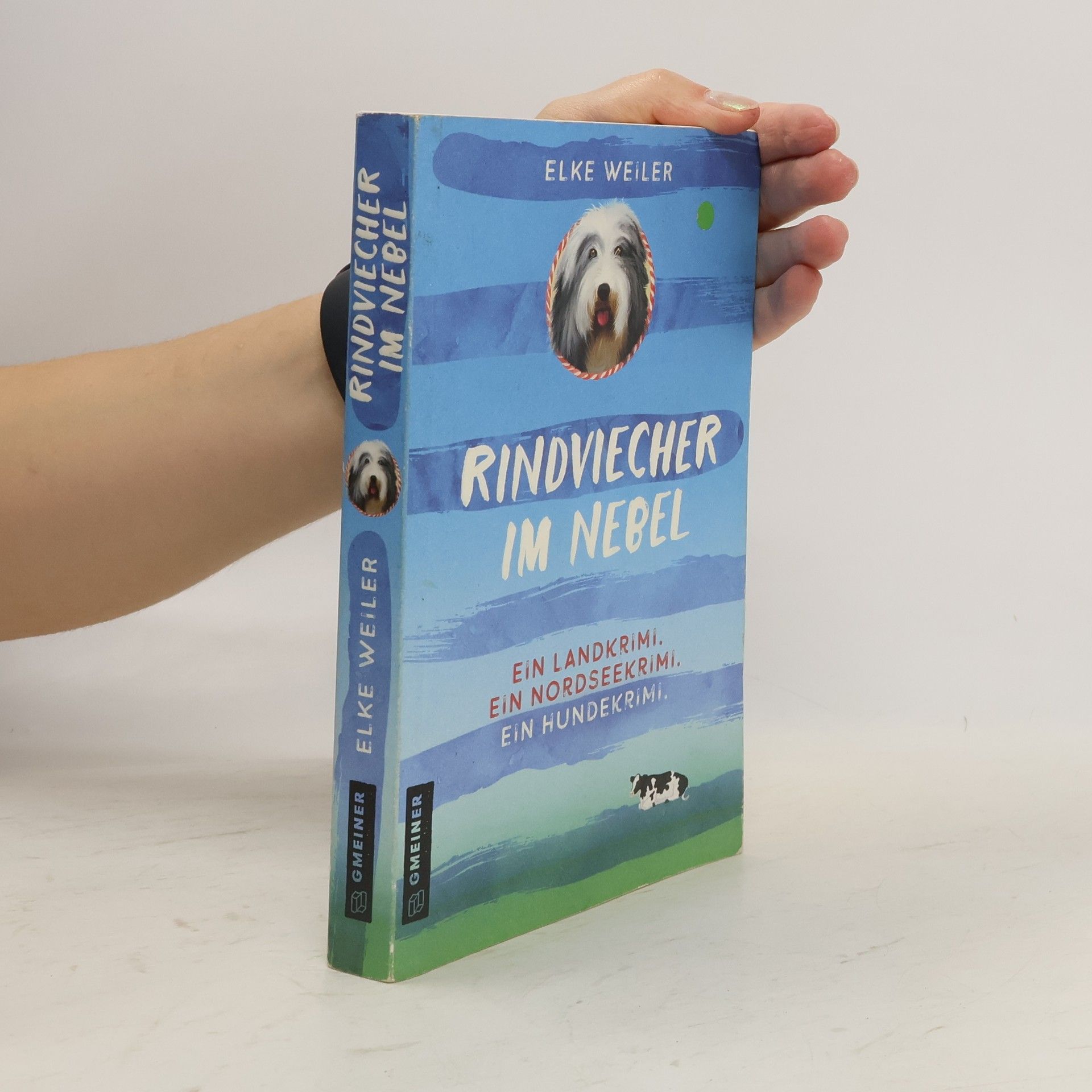 Rindviecher im Nebel