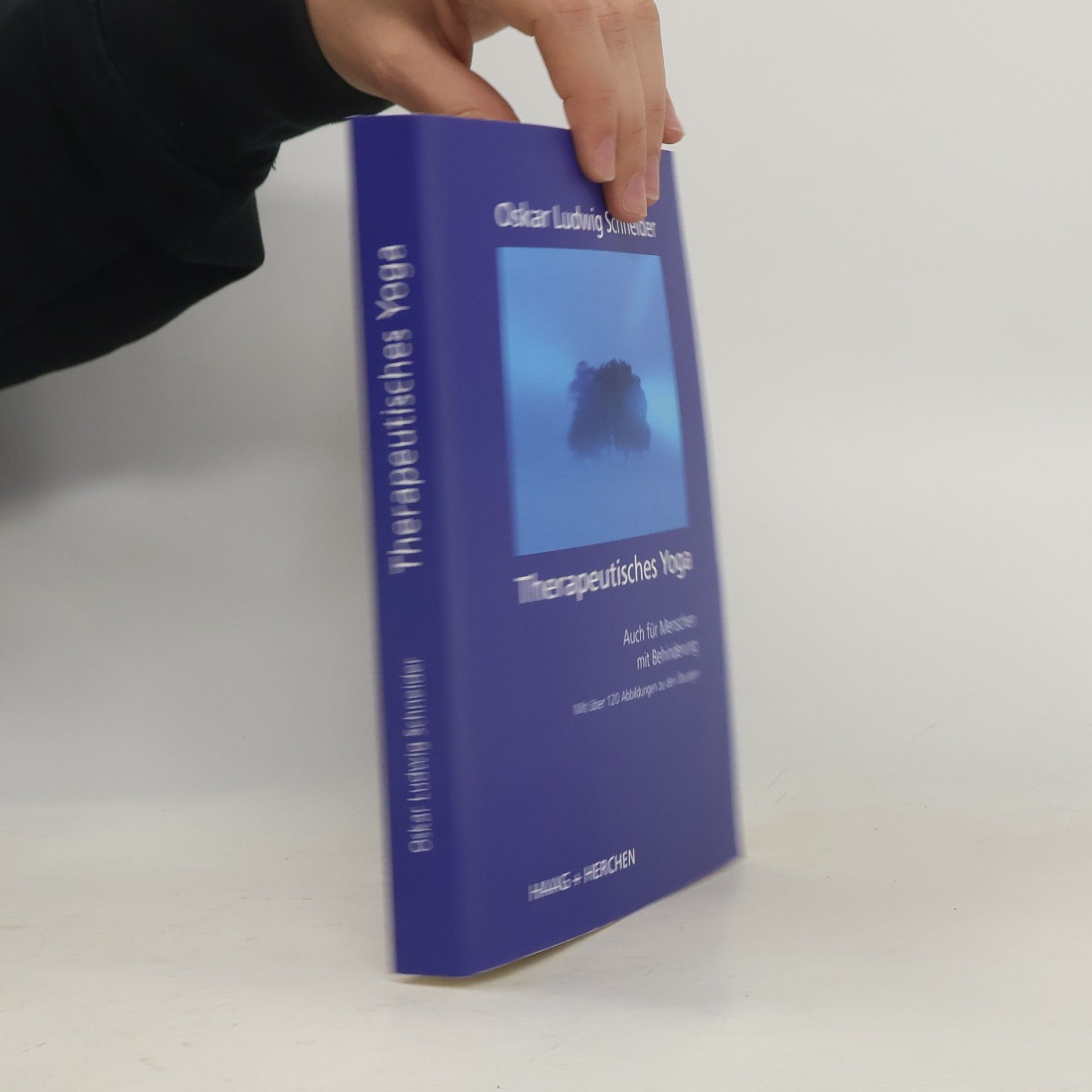 Oskar Ludwig Schneider Therapeutisches Yoga