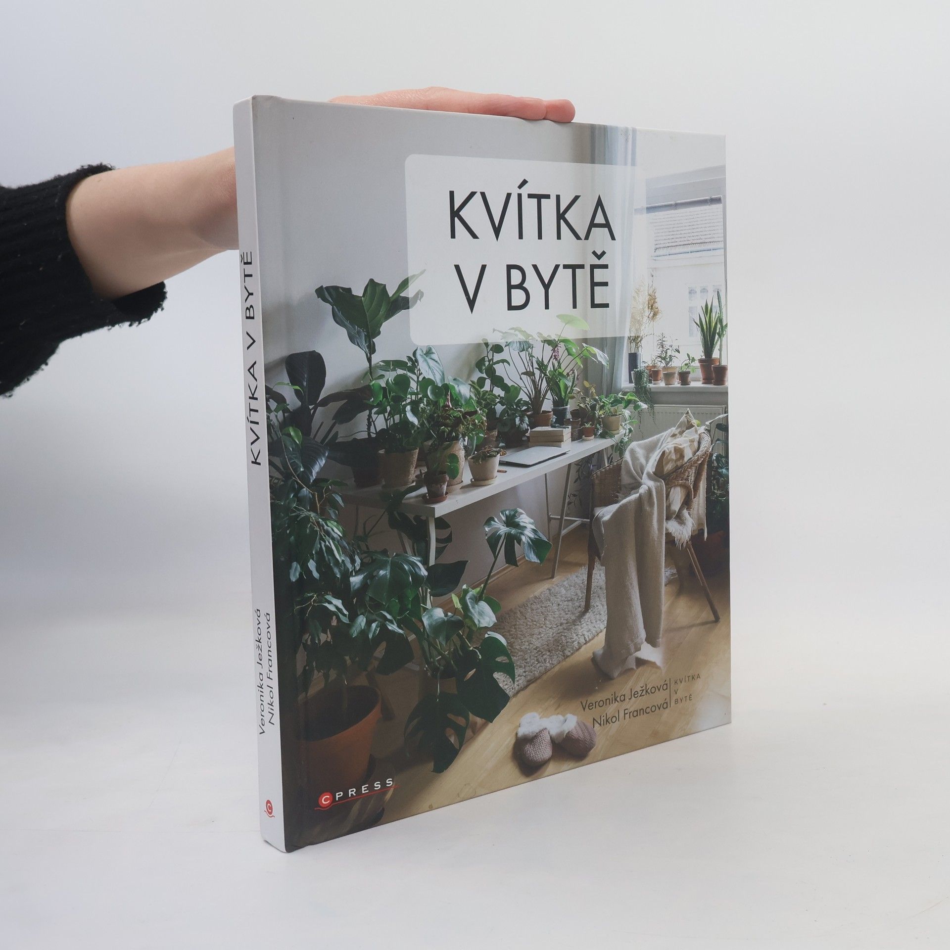 Veronika Ježková Kvítka v bytě