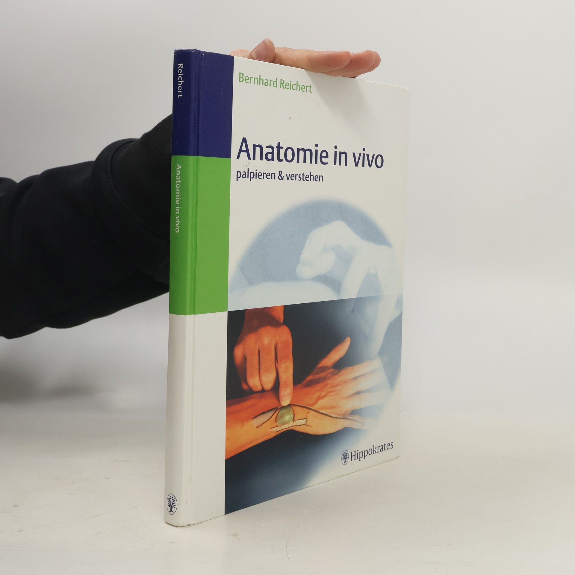 Bernhard Reichert Anatomie in vivo. Palpieren & Verstehen