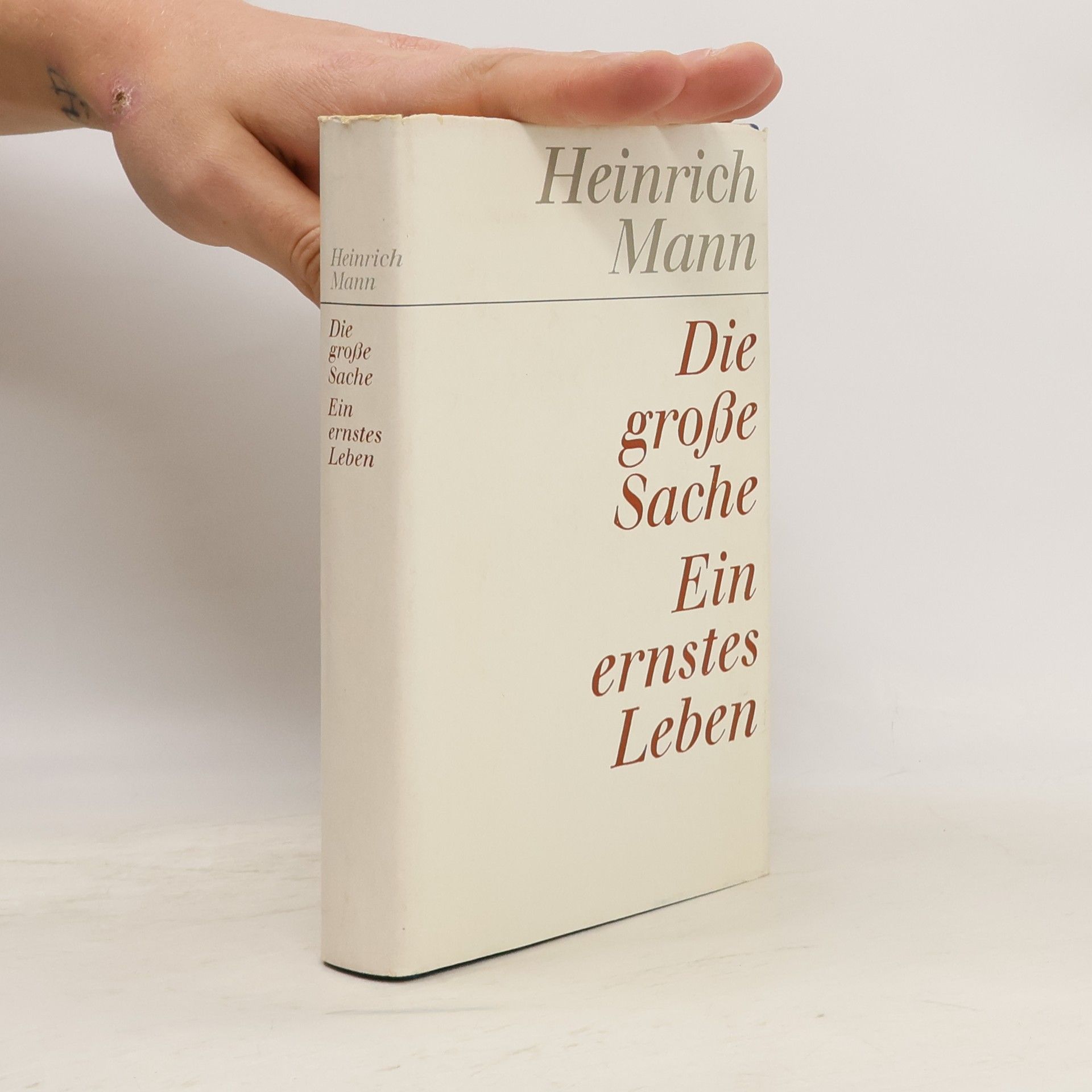 Heinrich Mann Die große Sache. Ein ernstes Leben