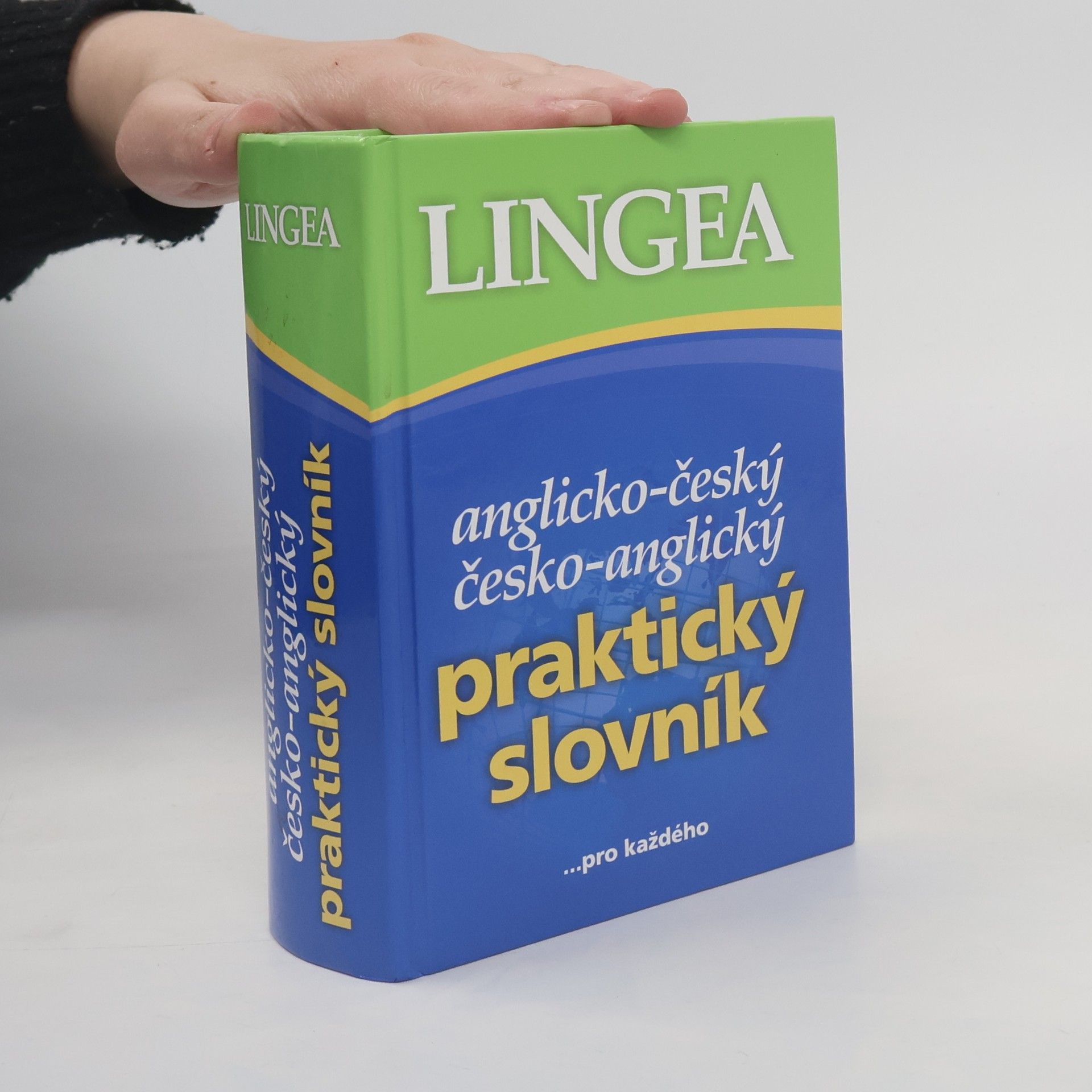 Autorenkollektiv Anglicko-český, česko-anglický praktický slovník