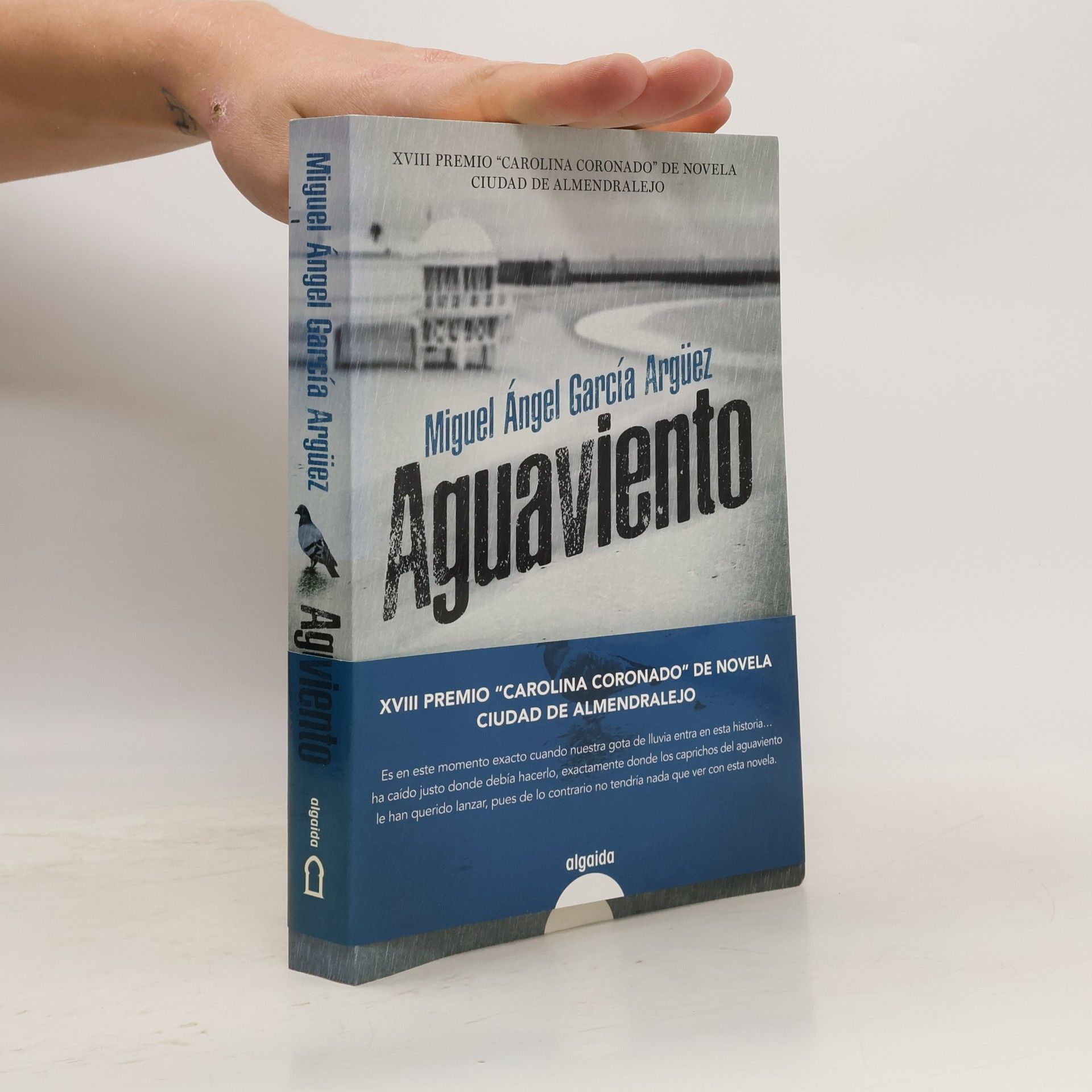 Miguel Ángel García Argüez Aguaviento