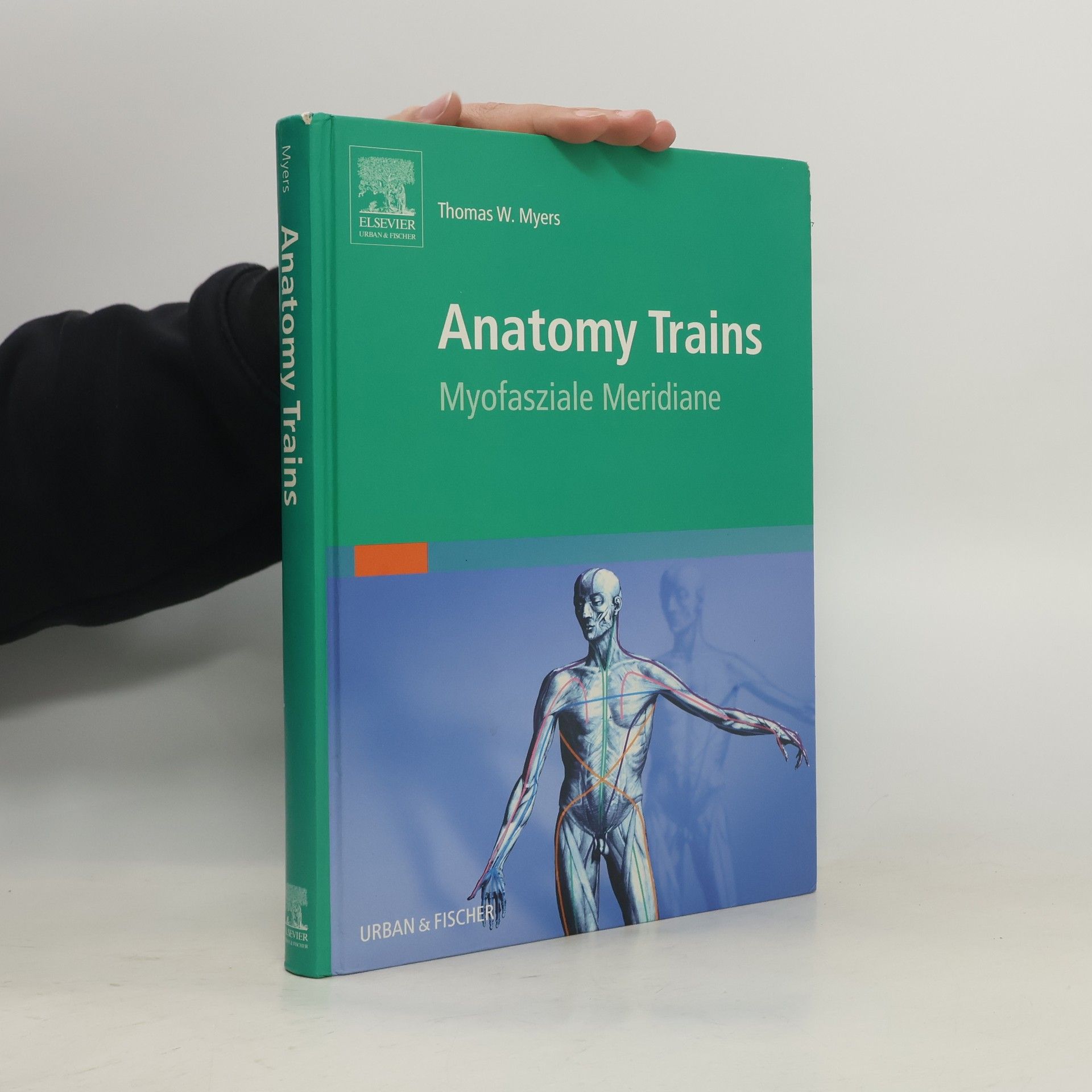 Thomas W. Myers Anatomy trains