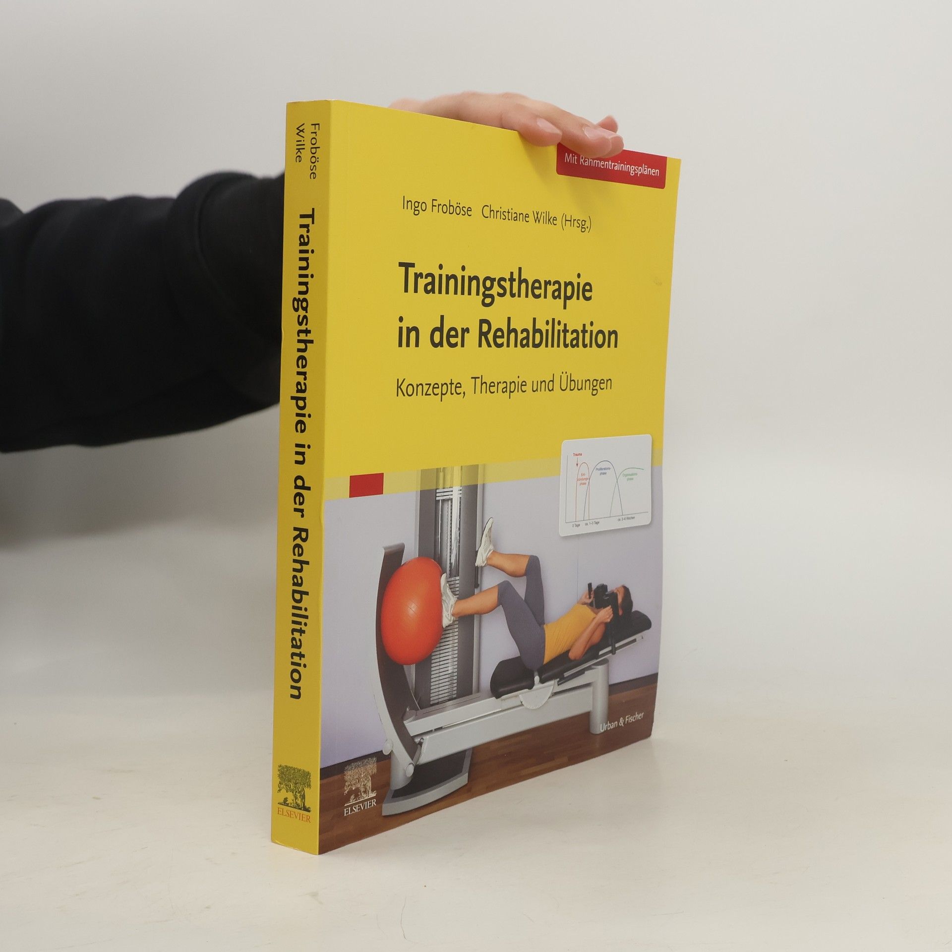 Ingo Froböse Trainingstherapie in der Rehabilitation