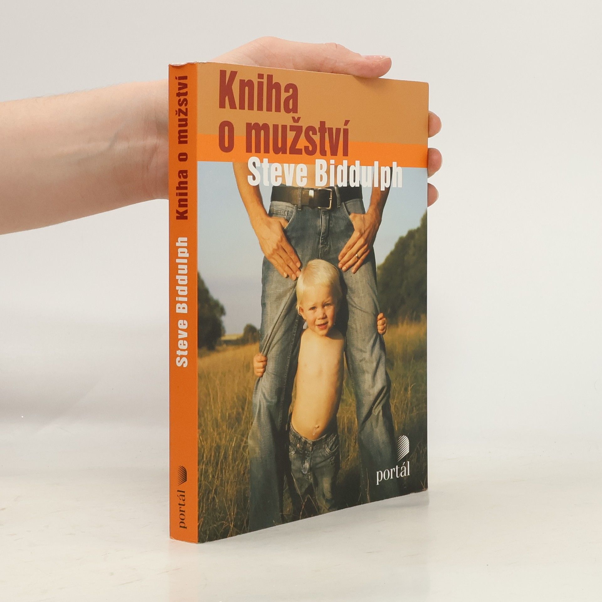 Steve Biddulph Kniha o mužství
