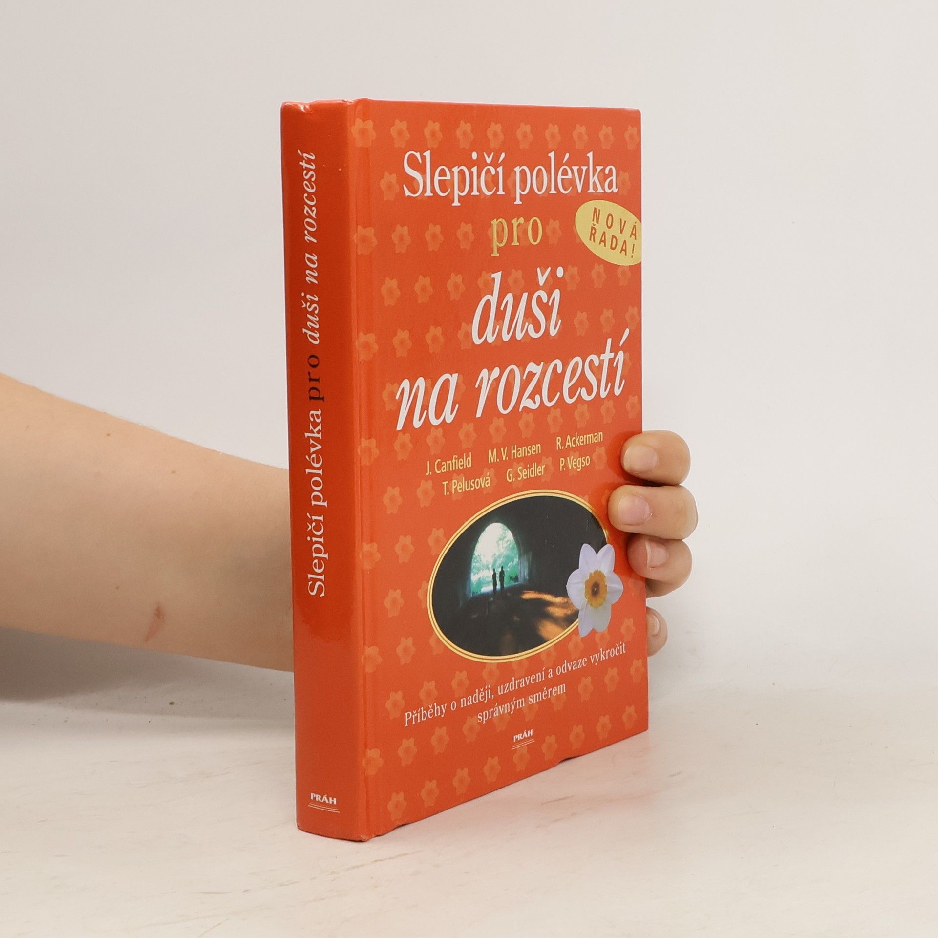 Jack Canfield Slepičí polévka pro duši na rozcestí