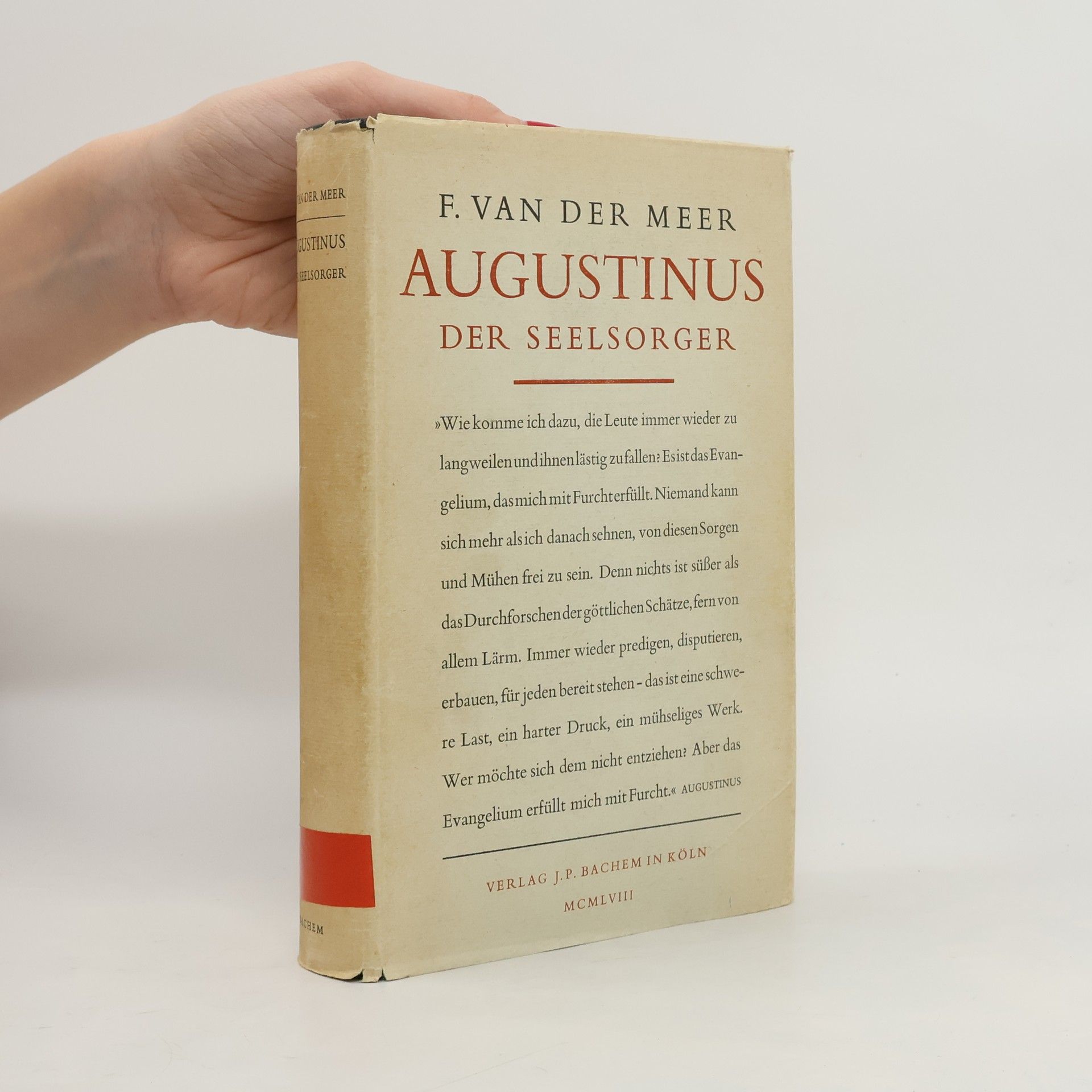 Augustinus der Seelsorger