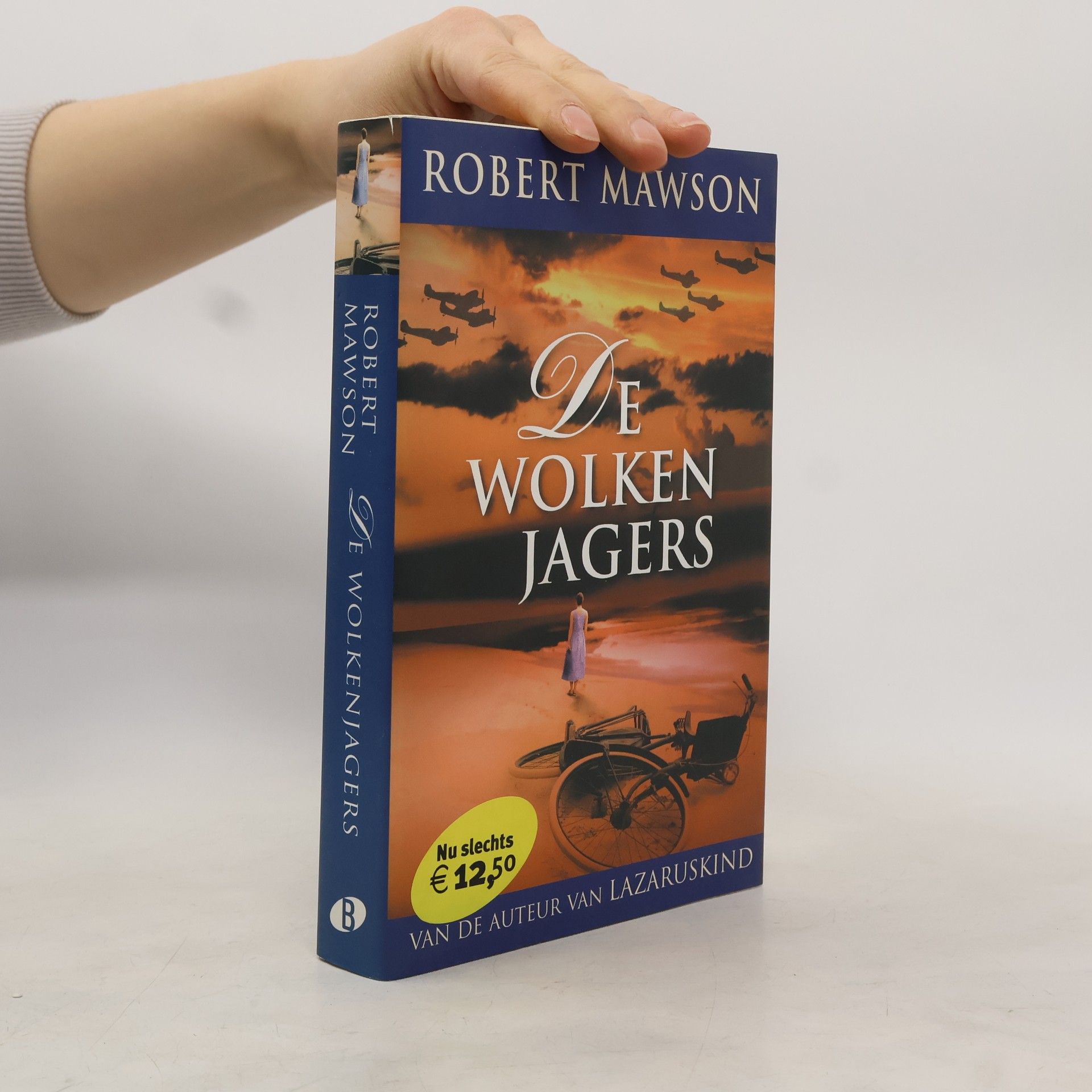 Robert Mawson De wolkenjagers