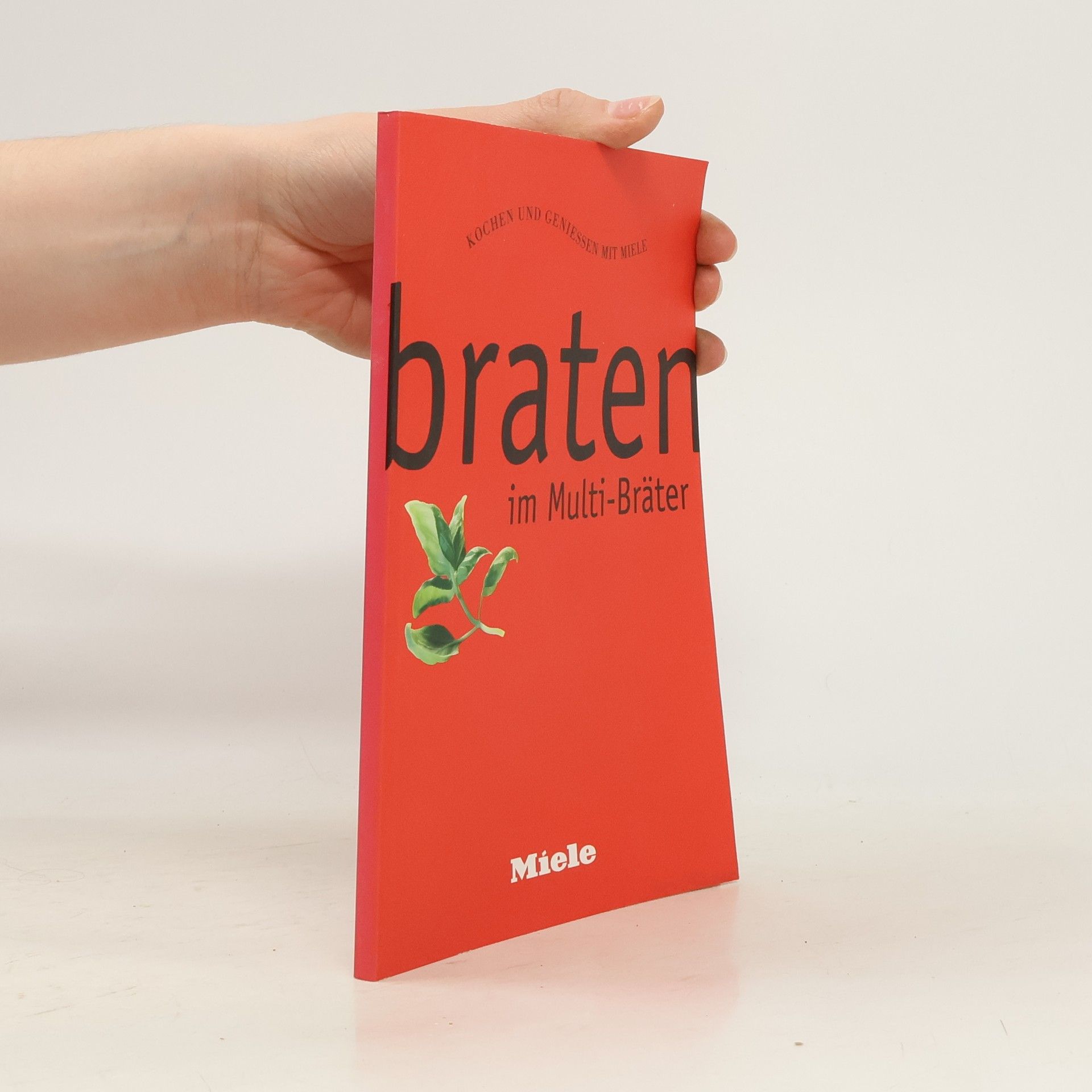 Kolektiv autorů Braten im Multi-Bräter