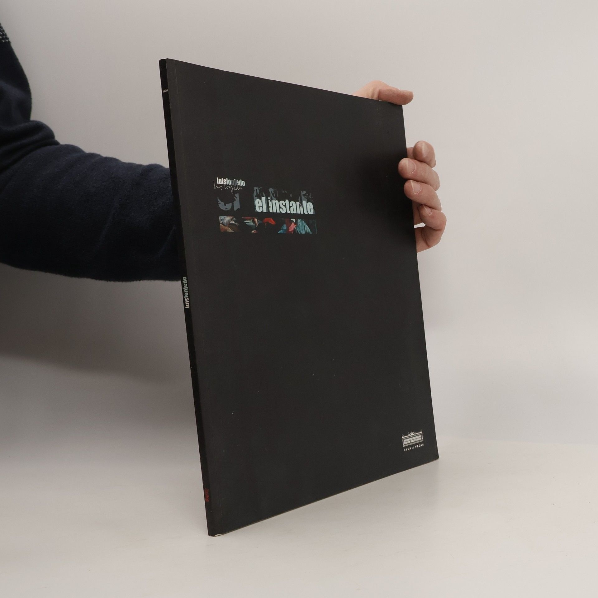 Luis Ionjeda El instante