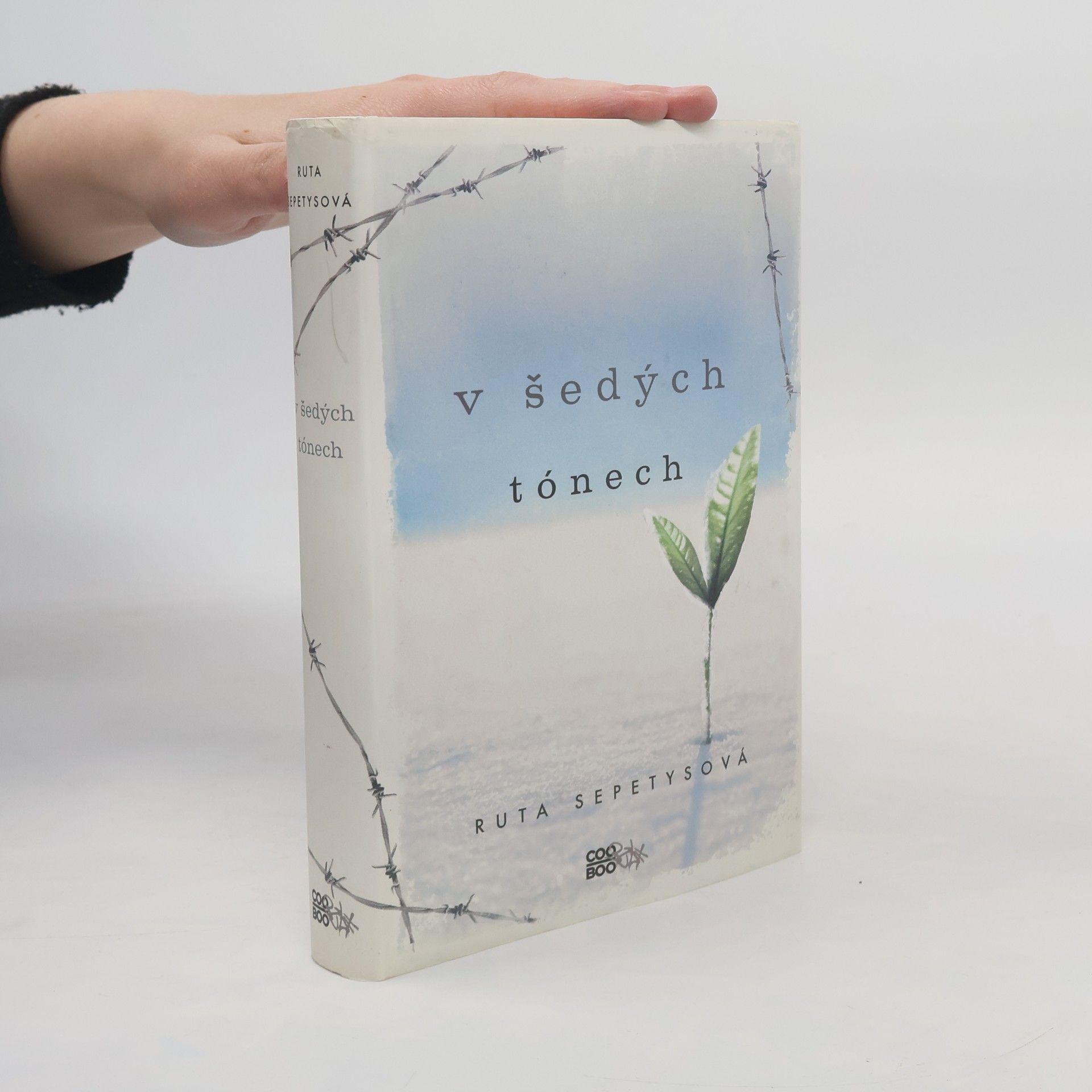 Ruta Sepetys V šedých tónech