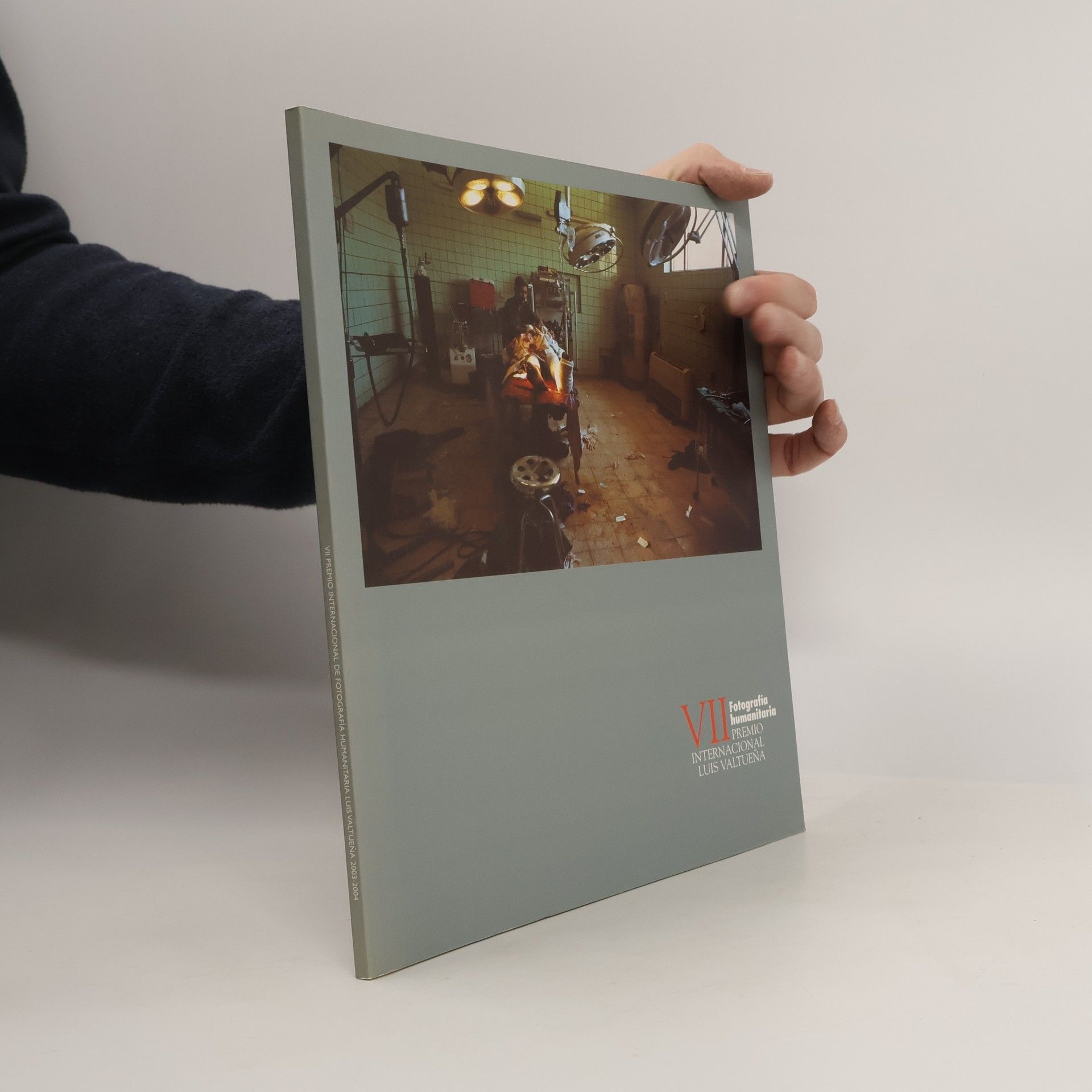 Autorenkollektiv VII Premio Internacional Luis Valtueña