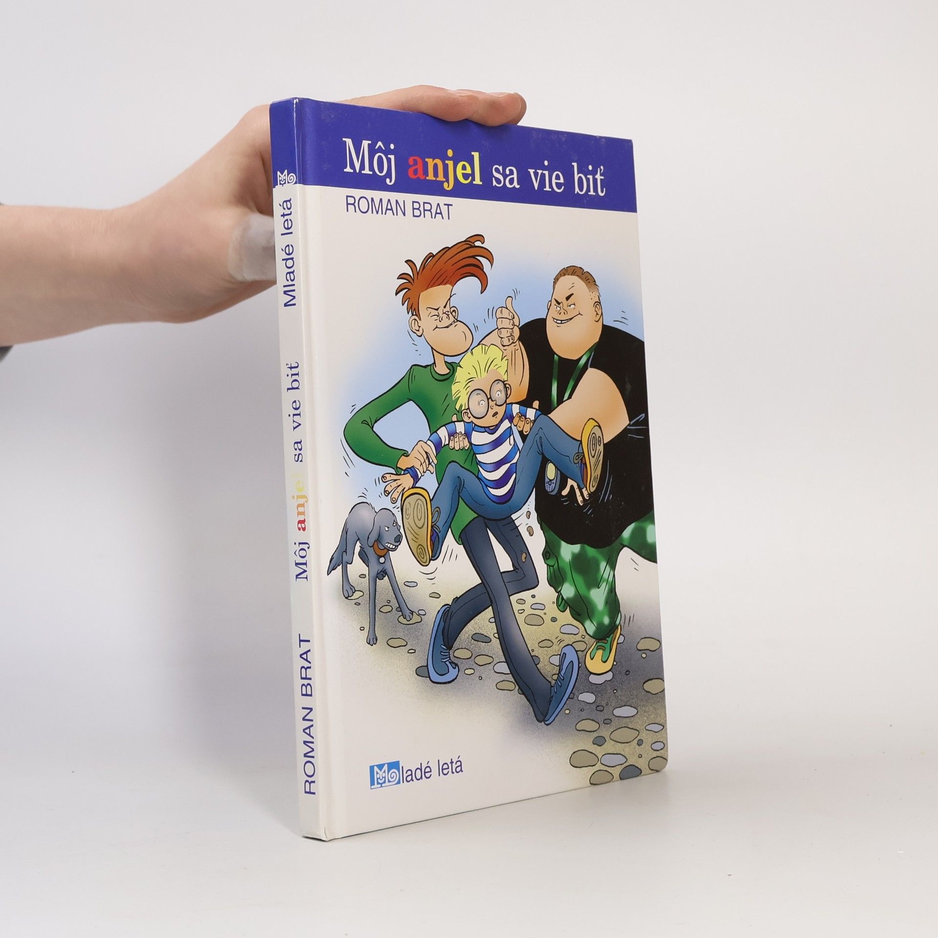 Roman Brat Môj anjel sa vie biť