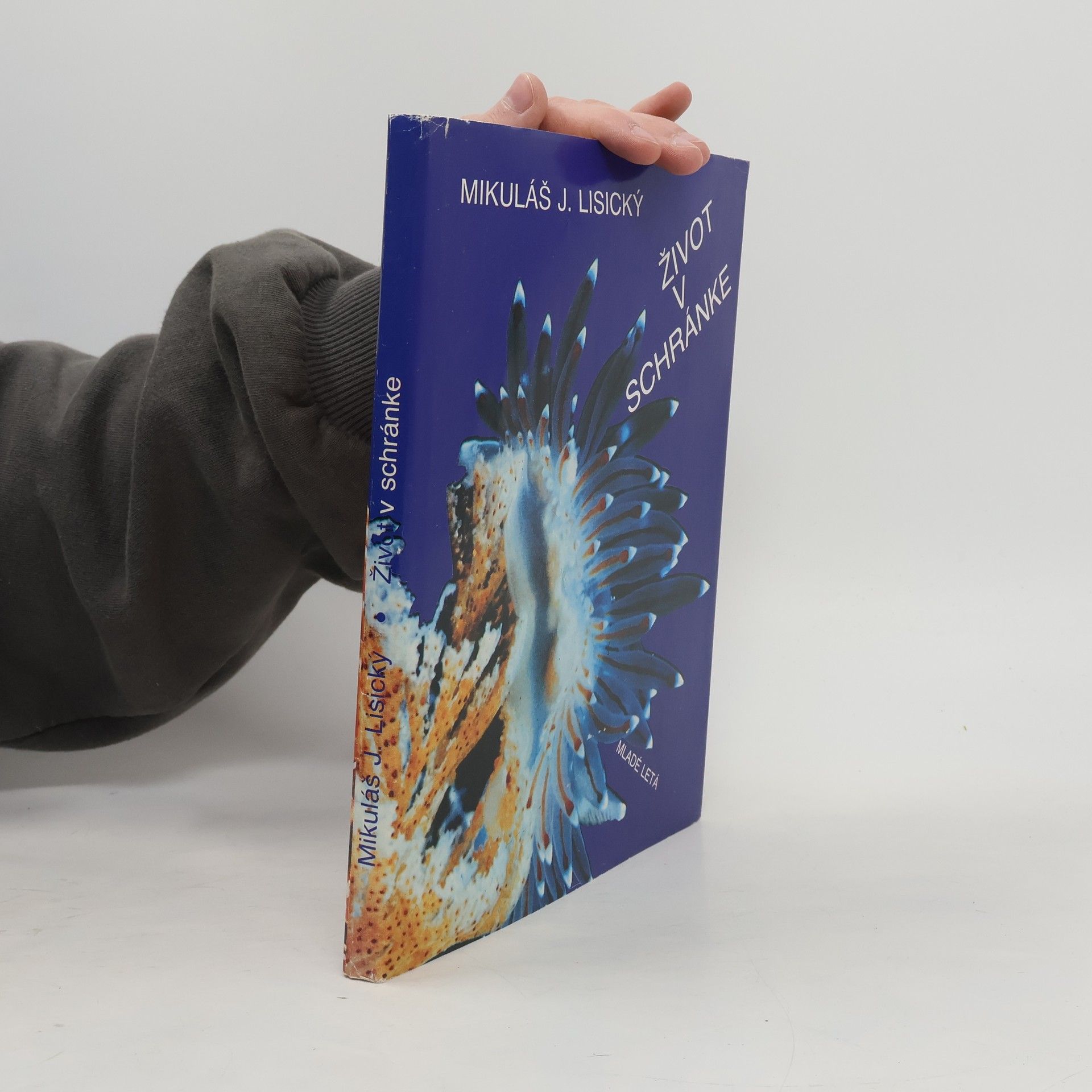 Mikuláš Lisický Život v schránke