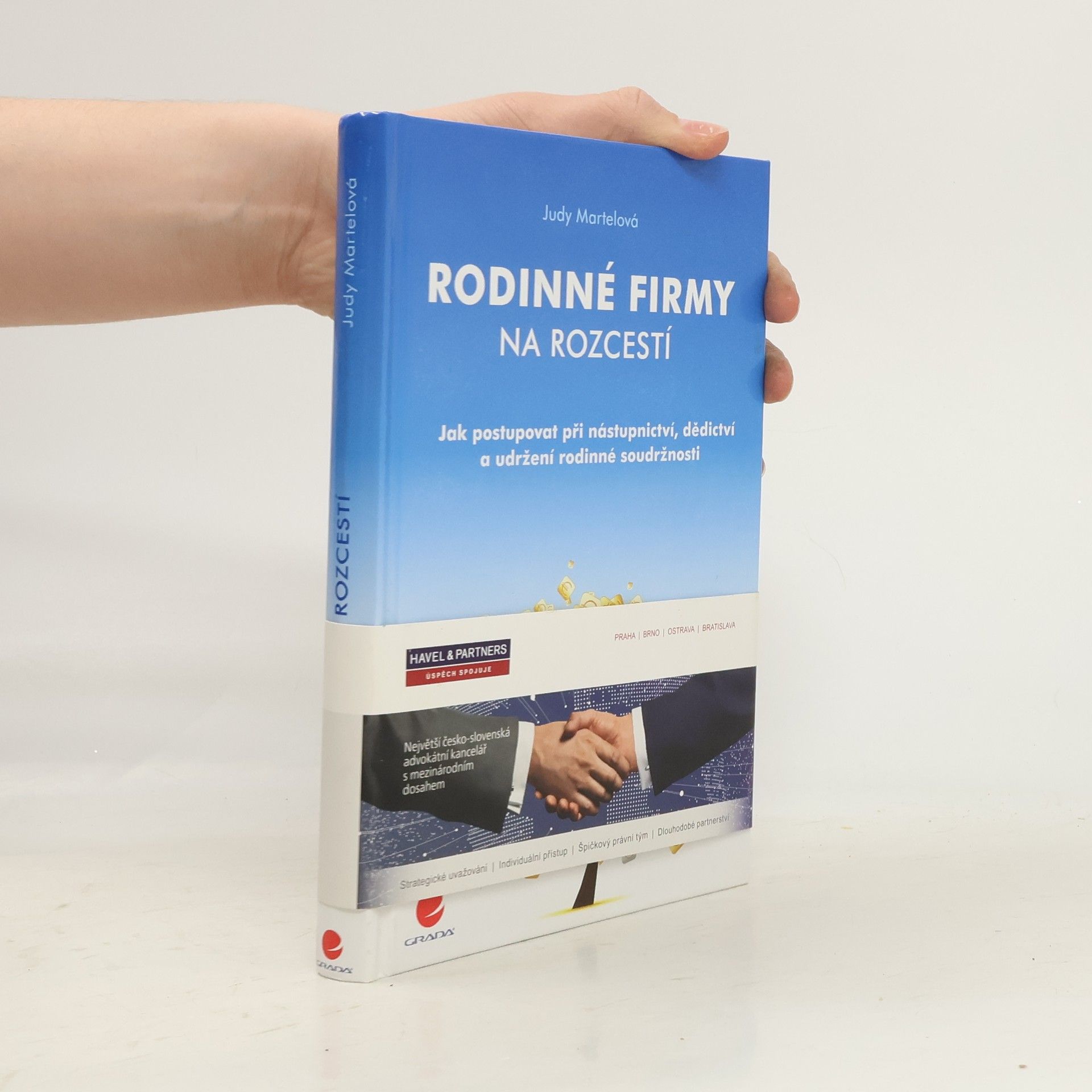 Judy Martel Rodinné firmy na rozcestí