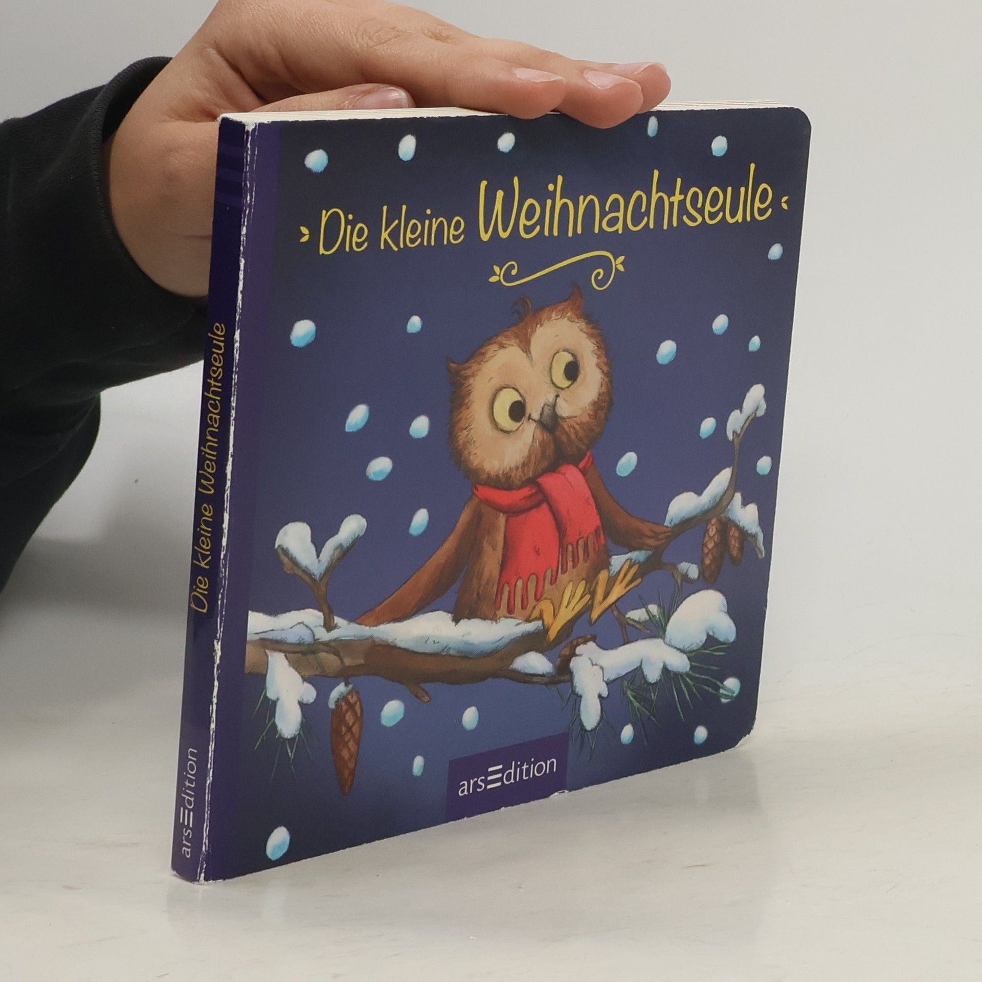 Sandra Grimm Die kleine Weihnachtseule