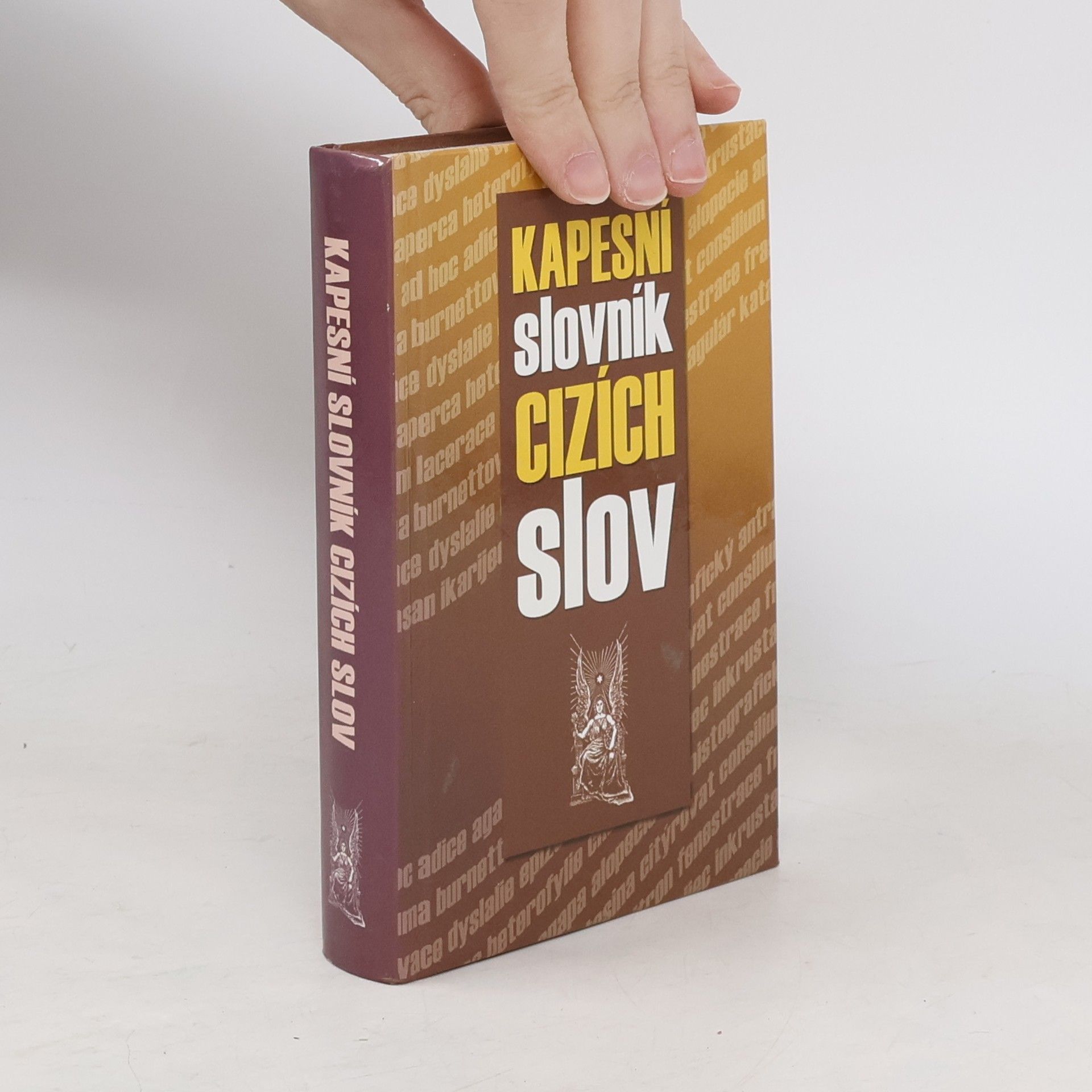 Kolektiv autorů Kapesní slovník cizích slov