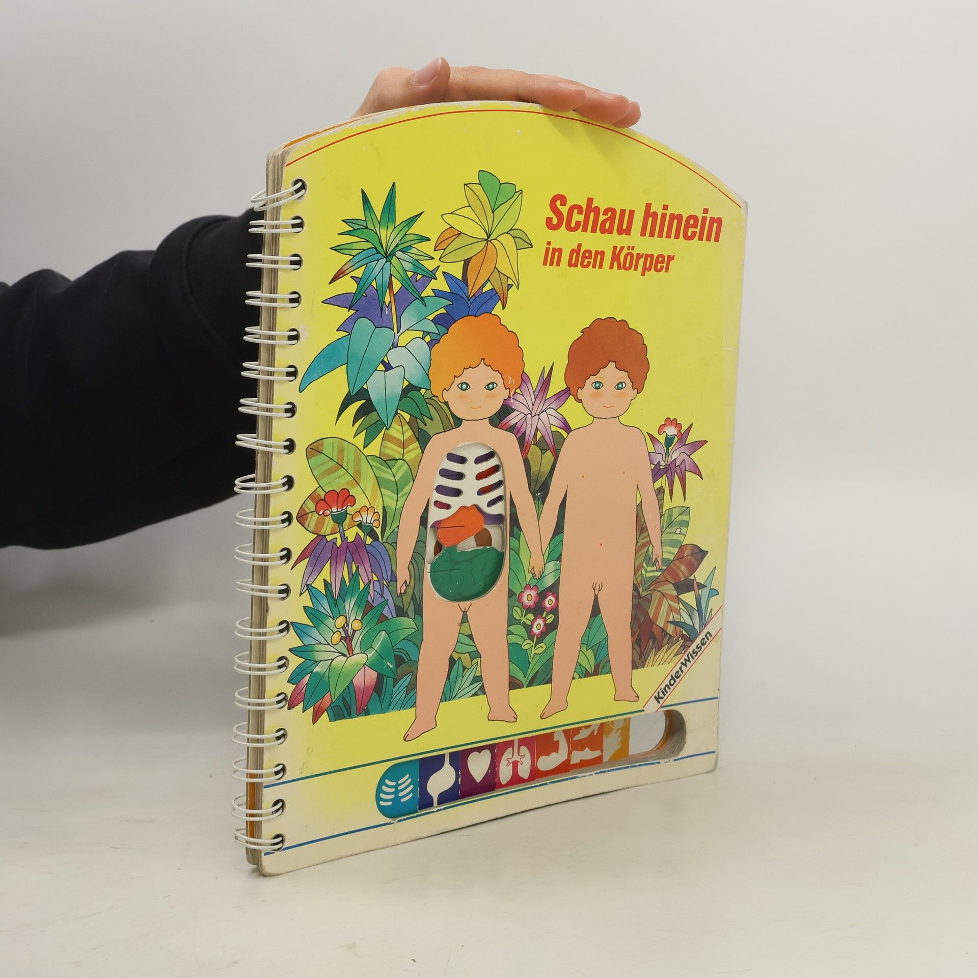 Mario Gomboli Schau hinein in den Körper