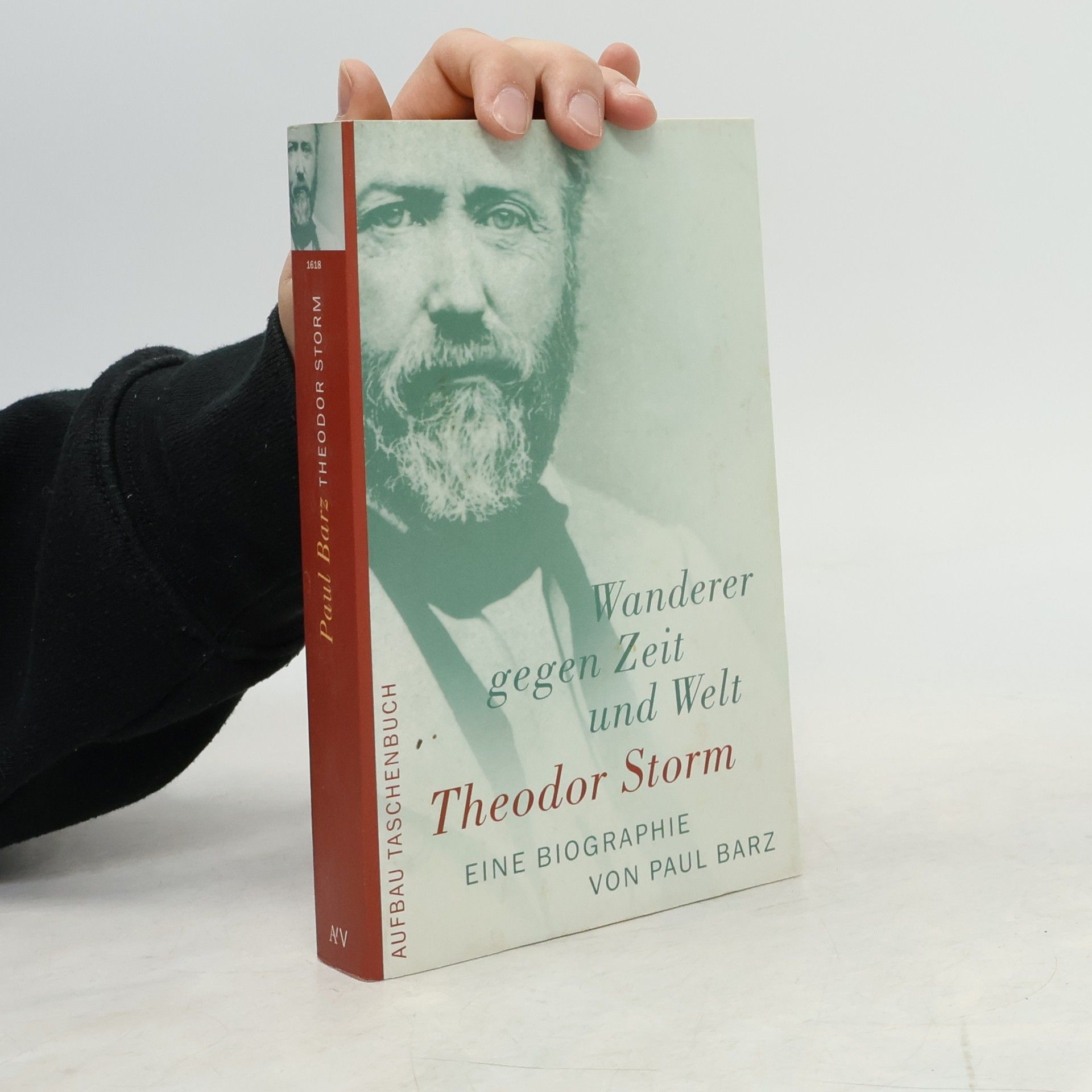 Paul Barz Theodor Storm