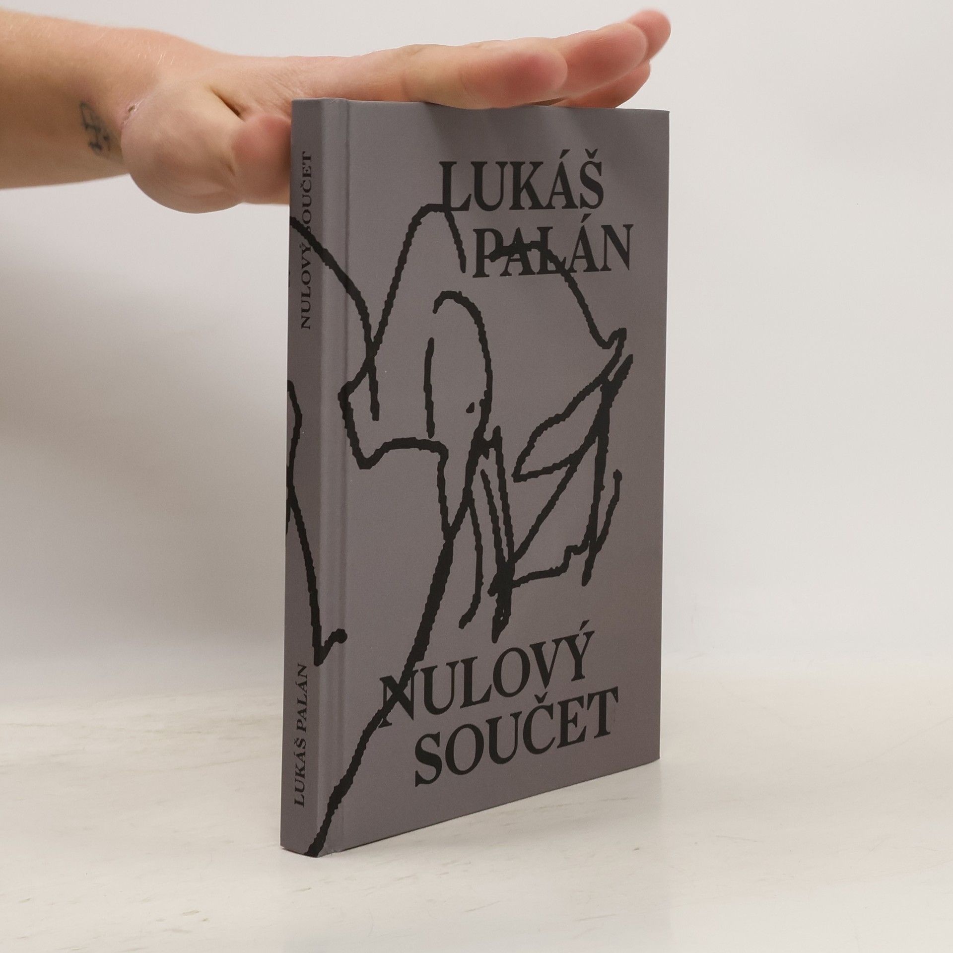 Lukáš Palán Nulový součet